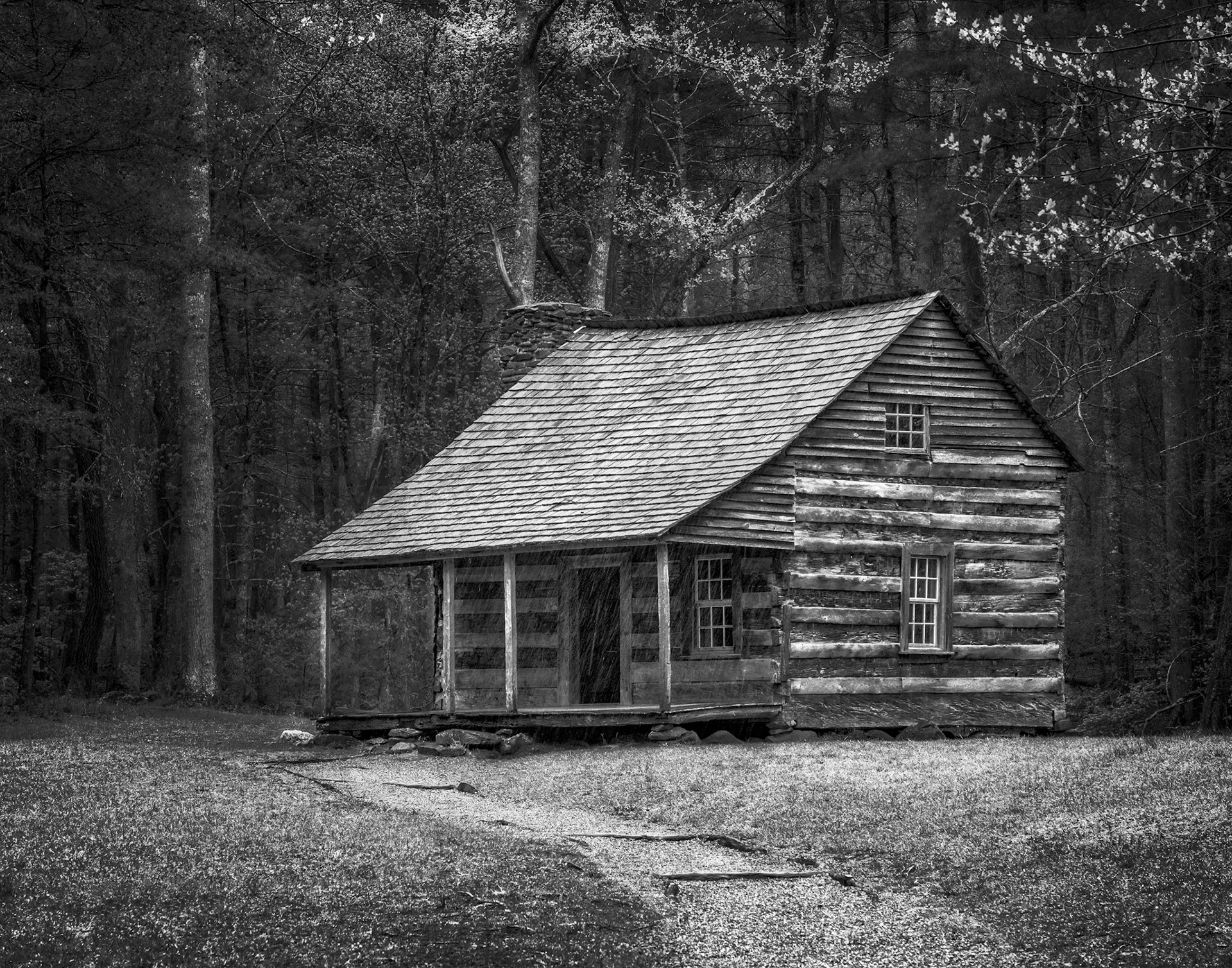 Rainy day in the Smokies
