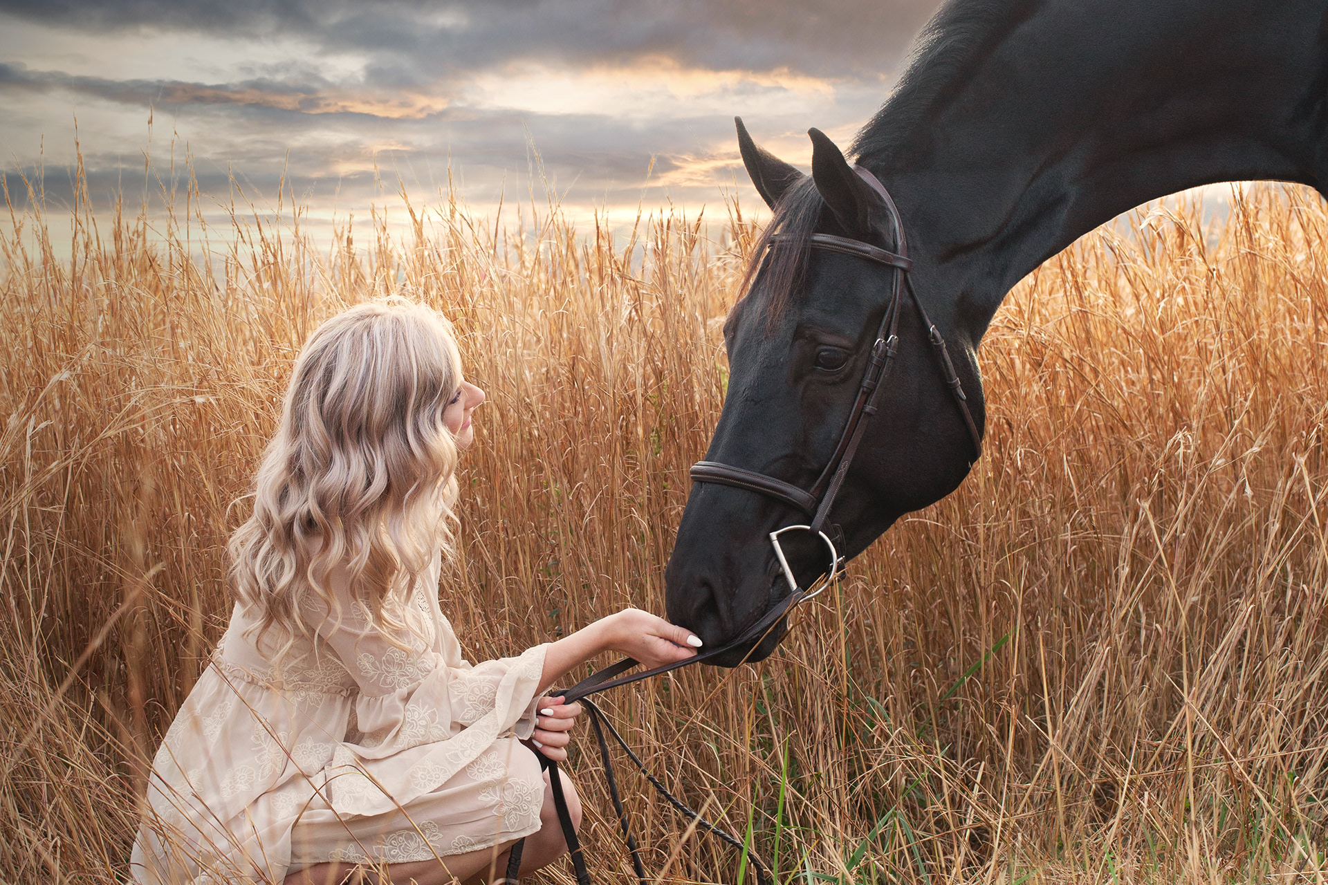 Melinda Brown Arts All Creatures Photography