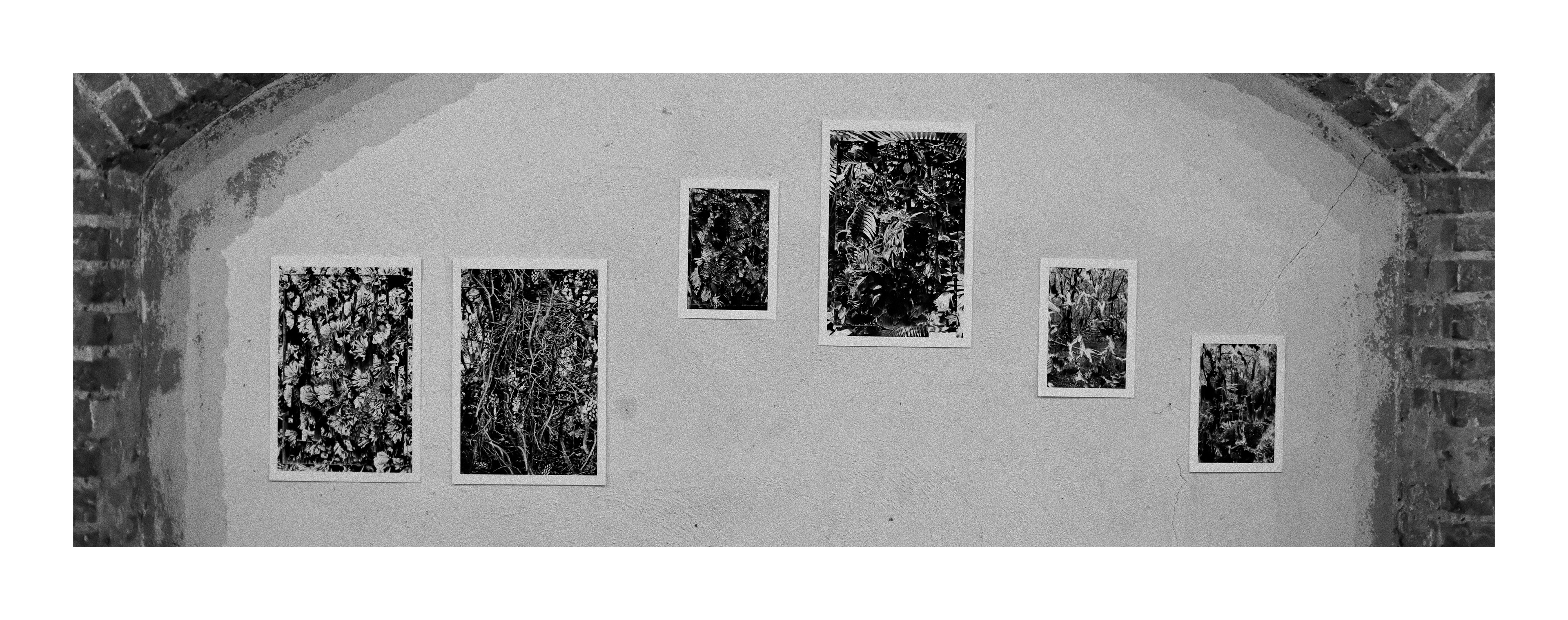 © Bastien Réau