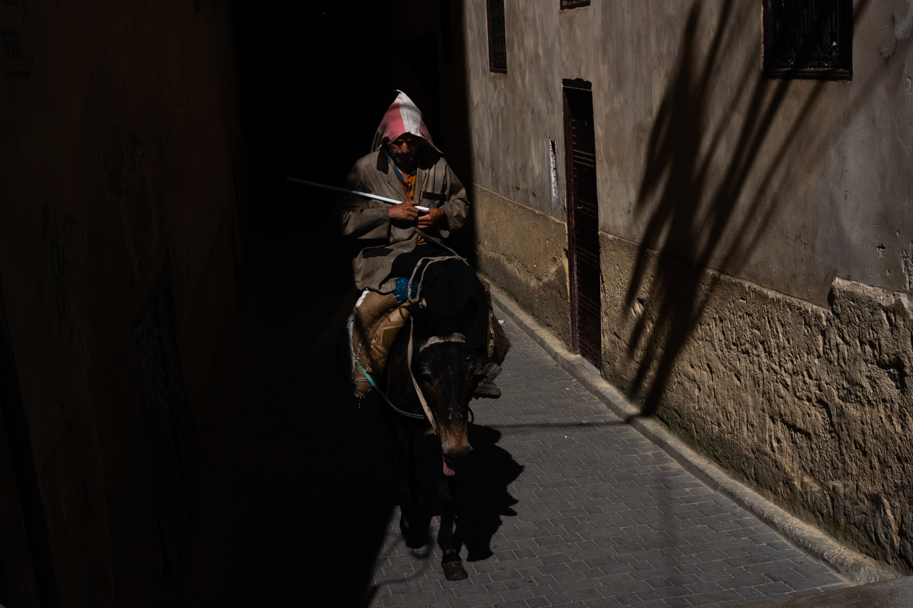 Fes, 2019