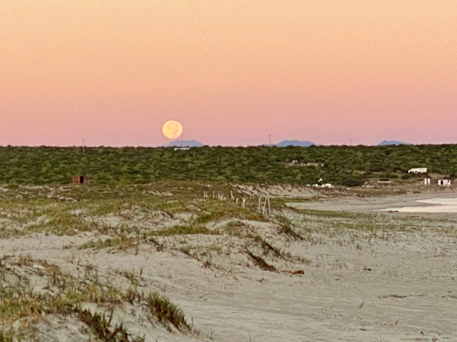 we even saw the lunar eclipse