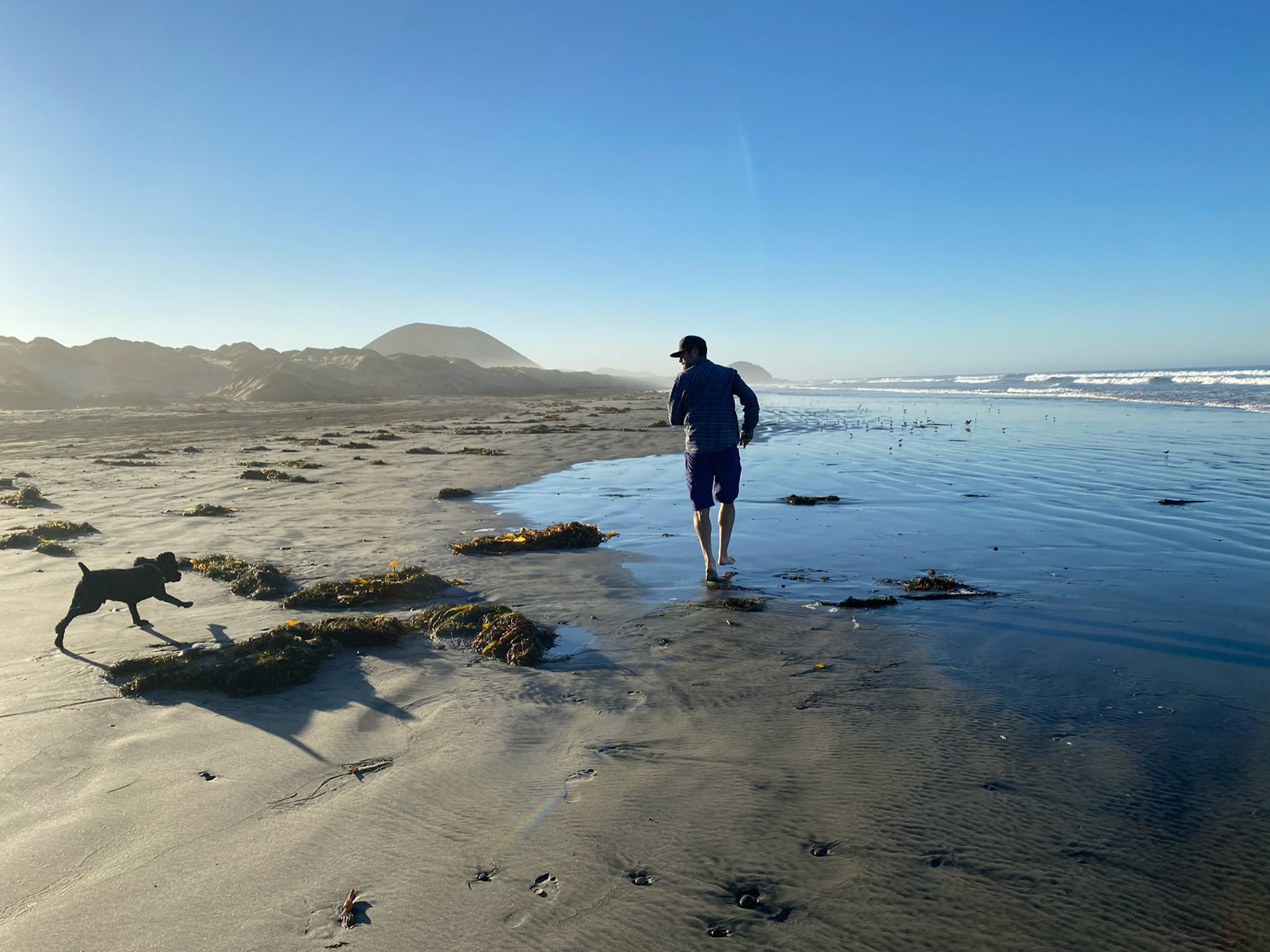 Day 4 Drive Down: Morning beach walk