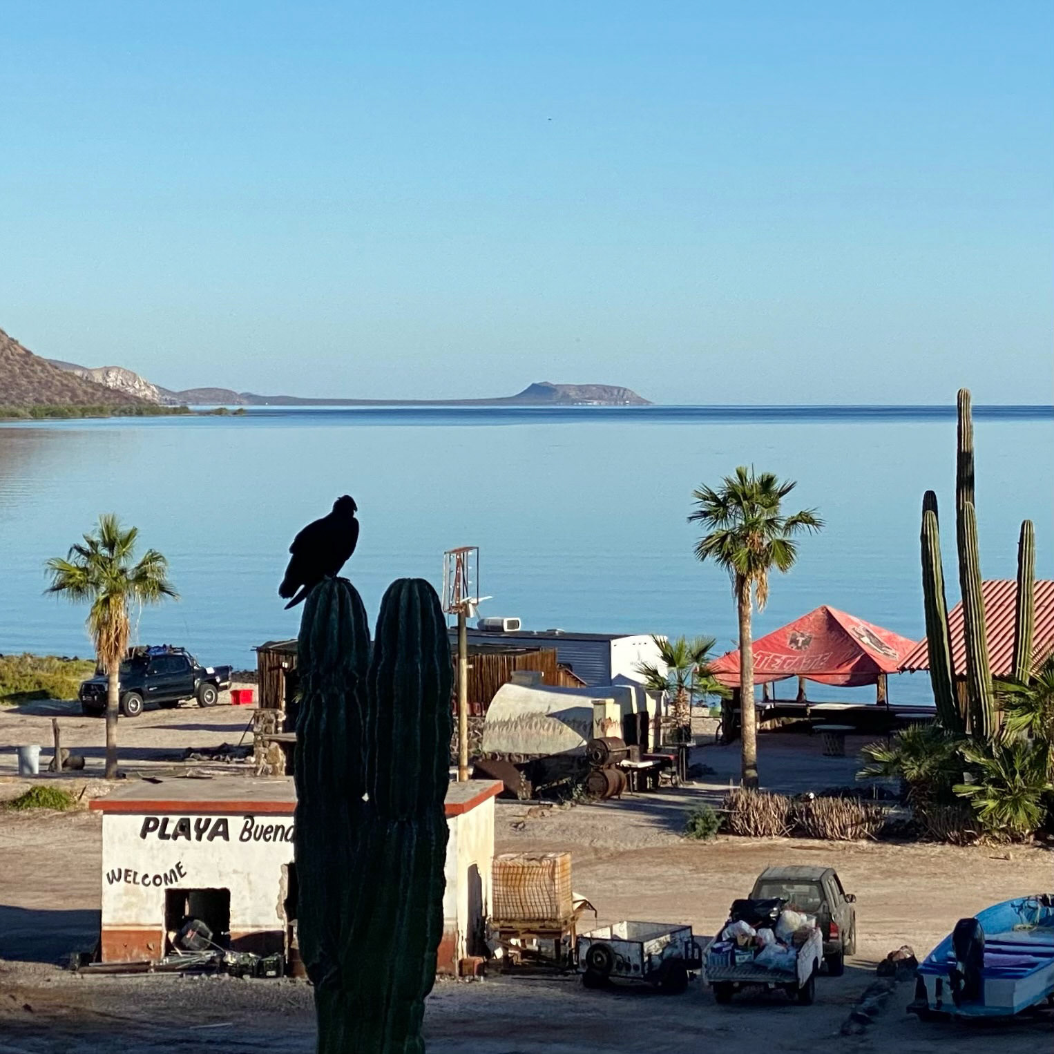 Day 5 Drive Down: Sea of Cortez