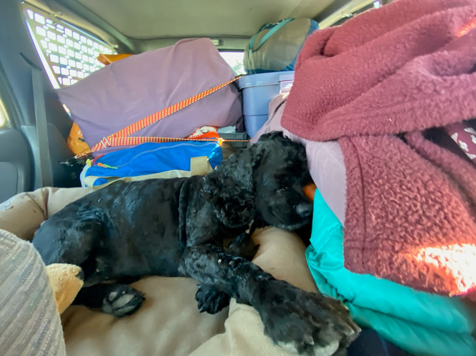 every adventure begins with a good post breakfast nap