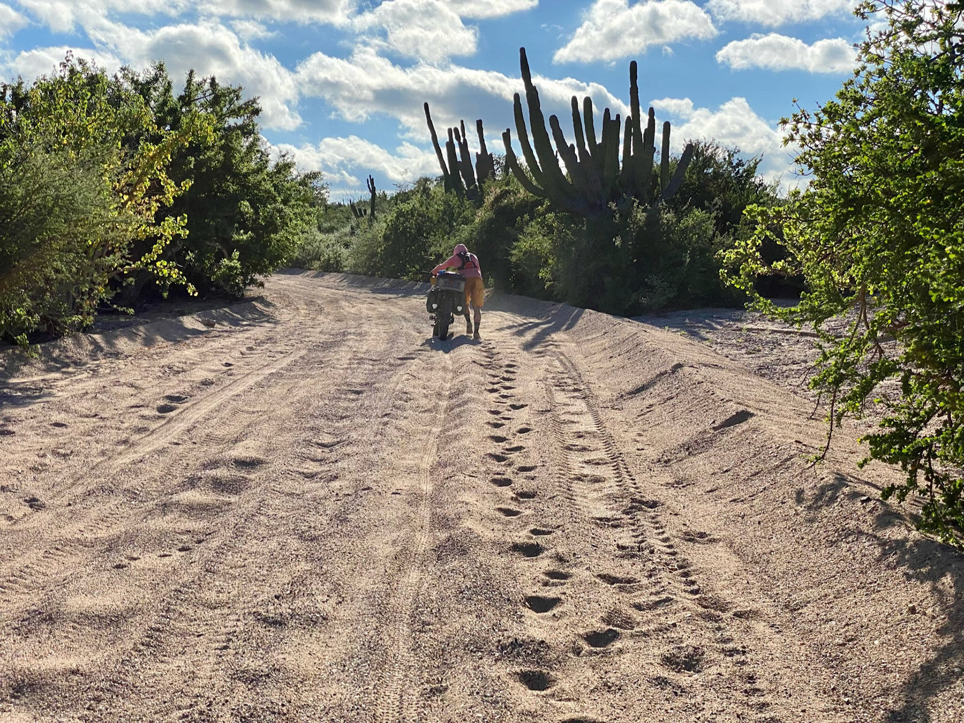 Biking Day 3: like really really real