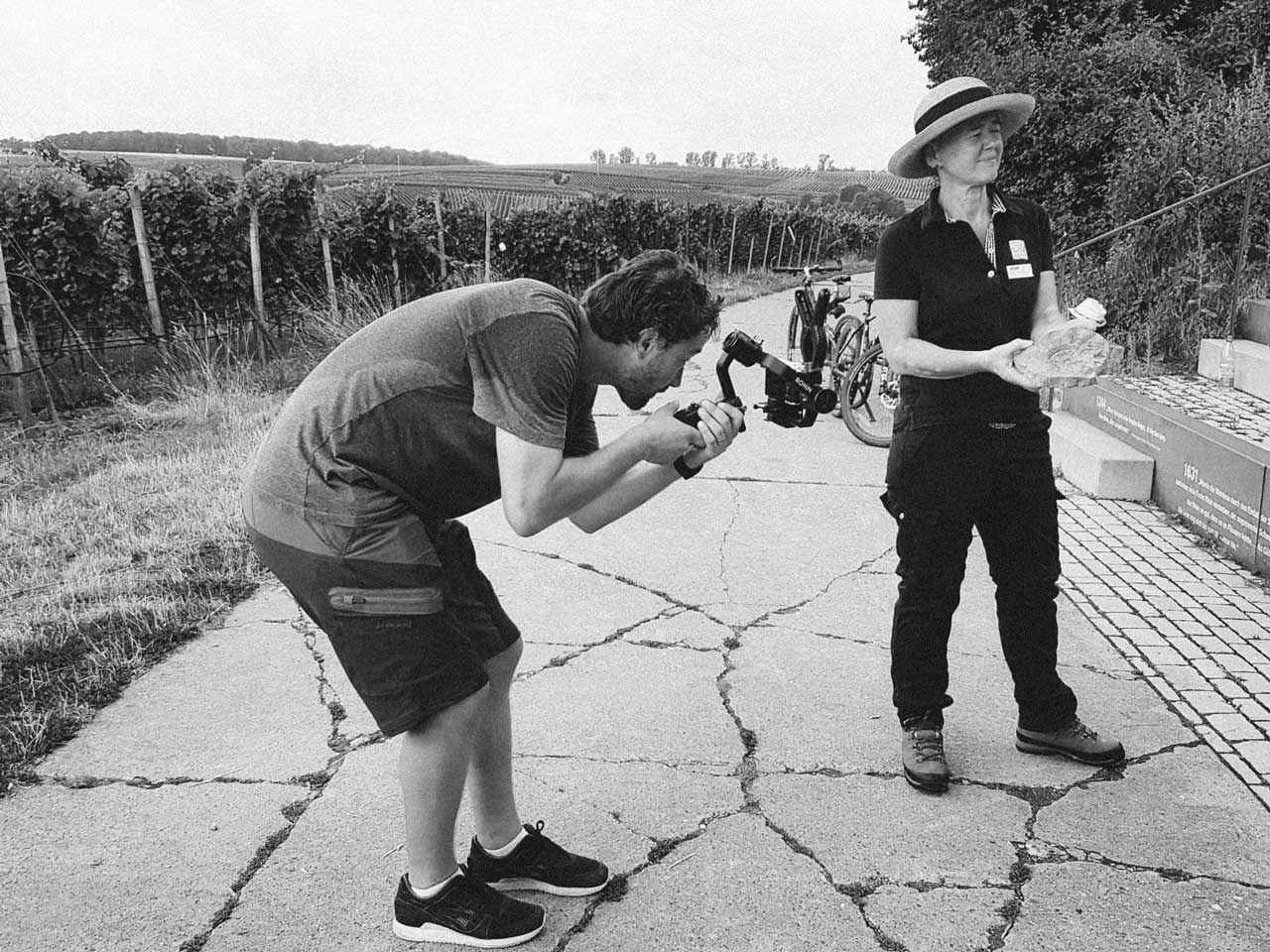 Kameraarbeit, imagefilm, vogelsburg, wein, main