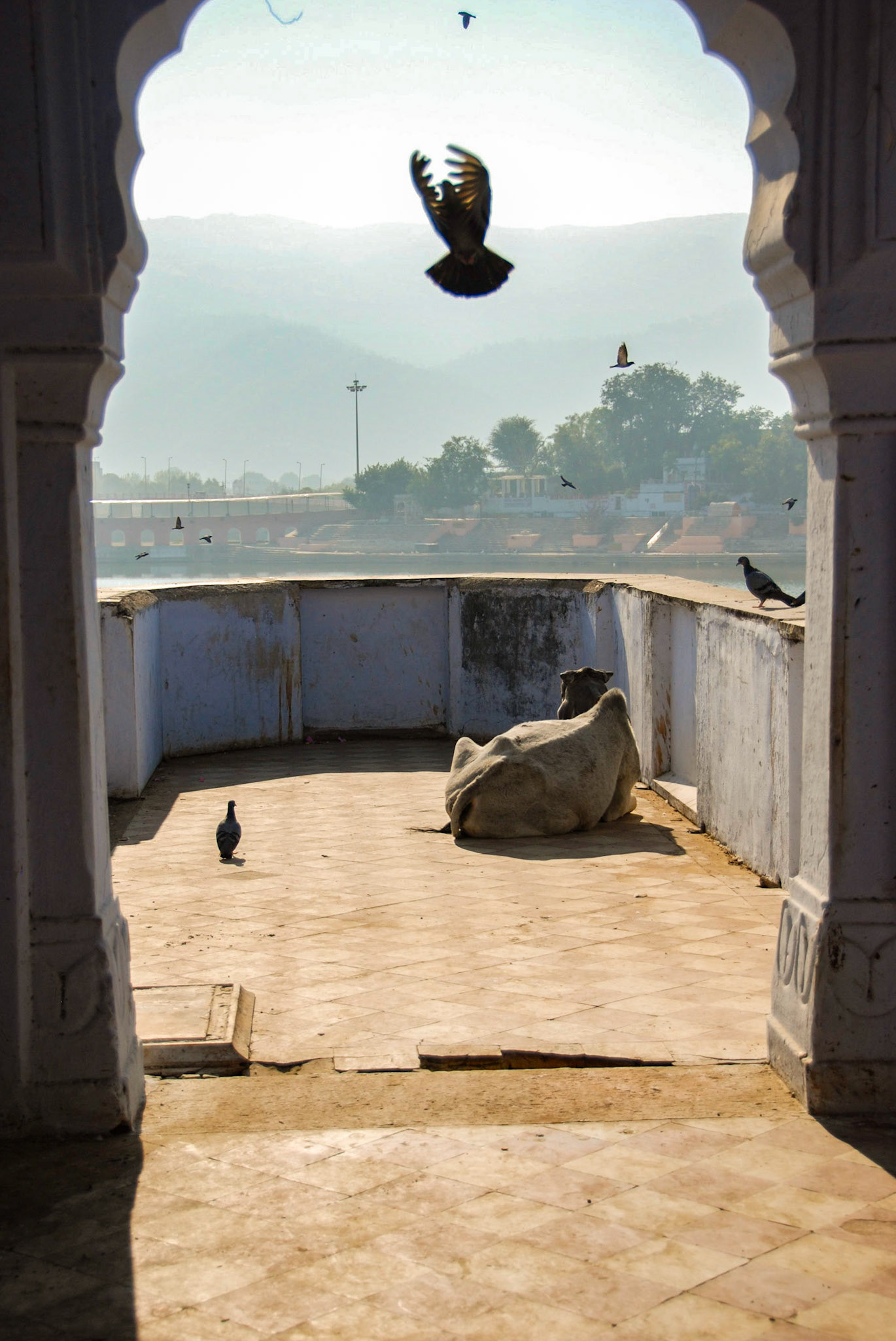 By Pushkar Lake