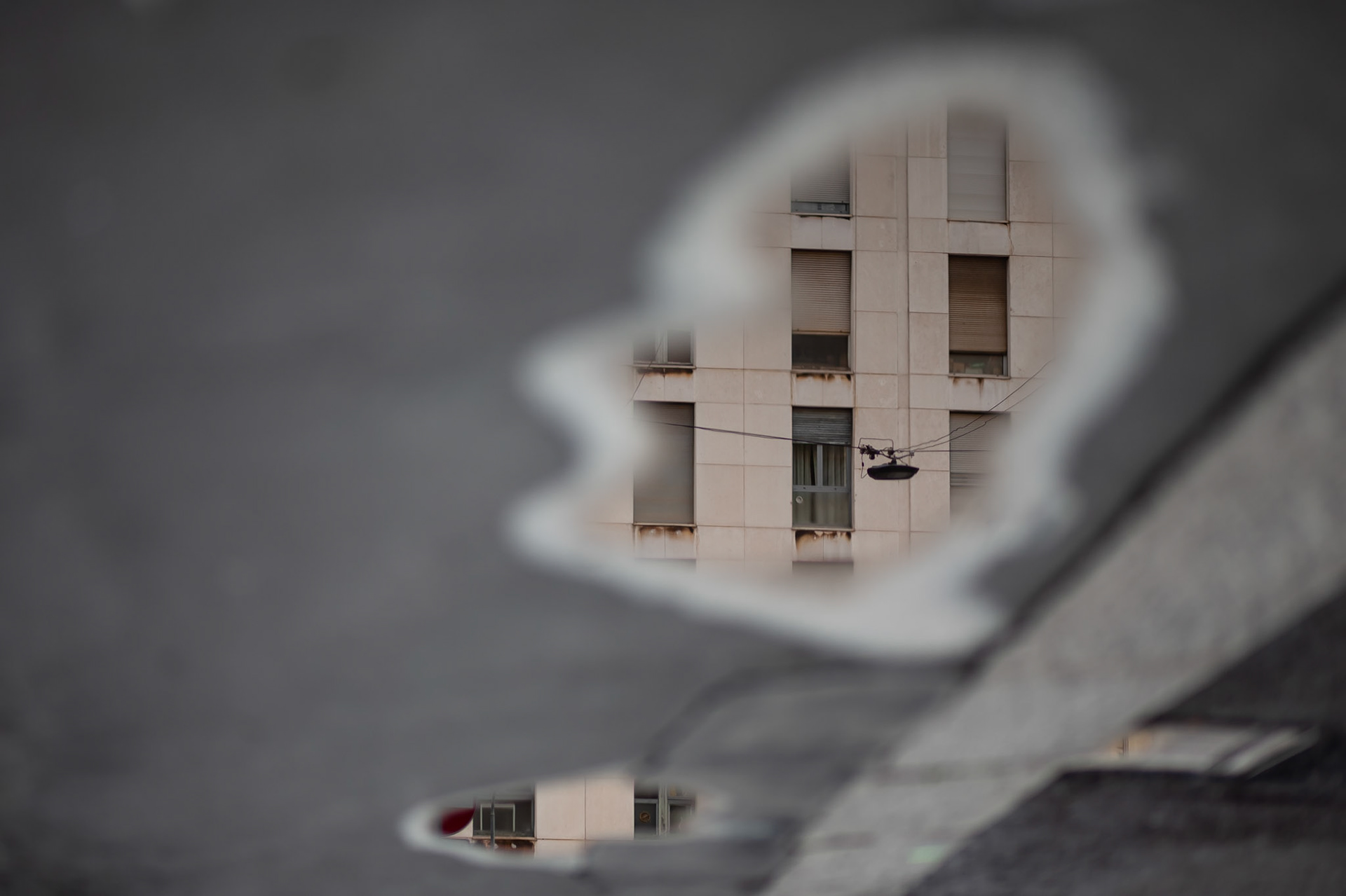 Puddle Reflection 5