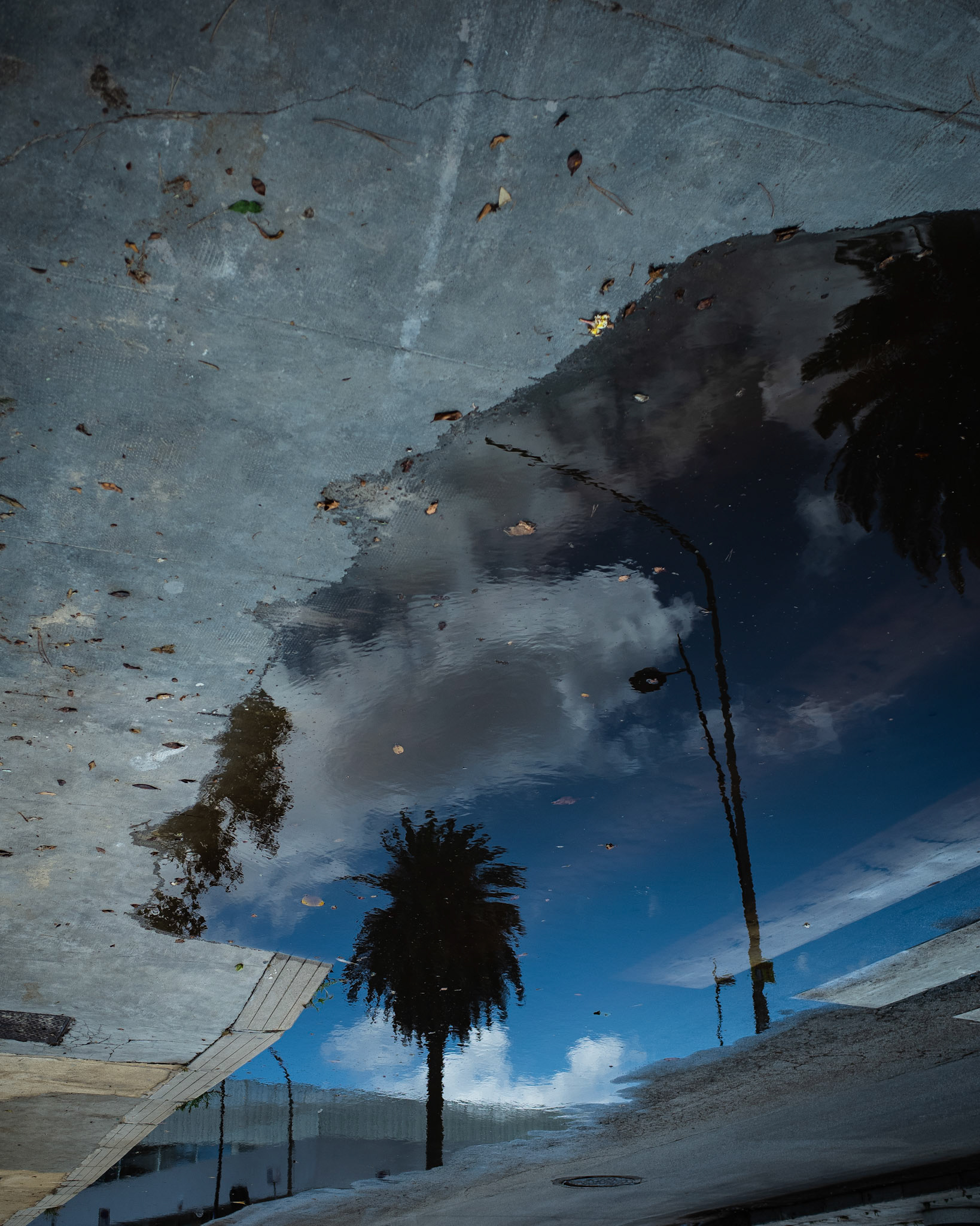 Reflecting Around 42