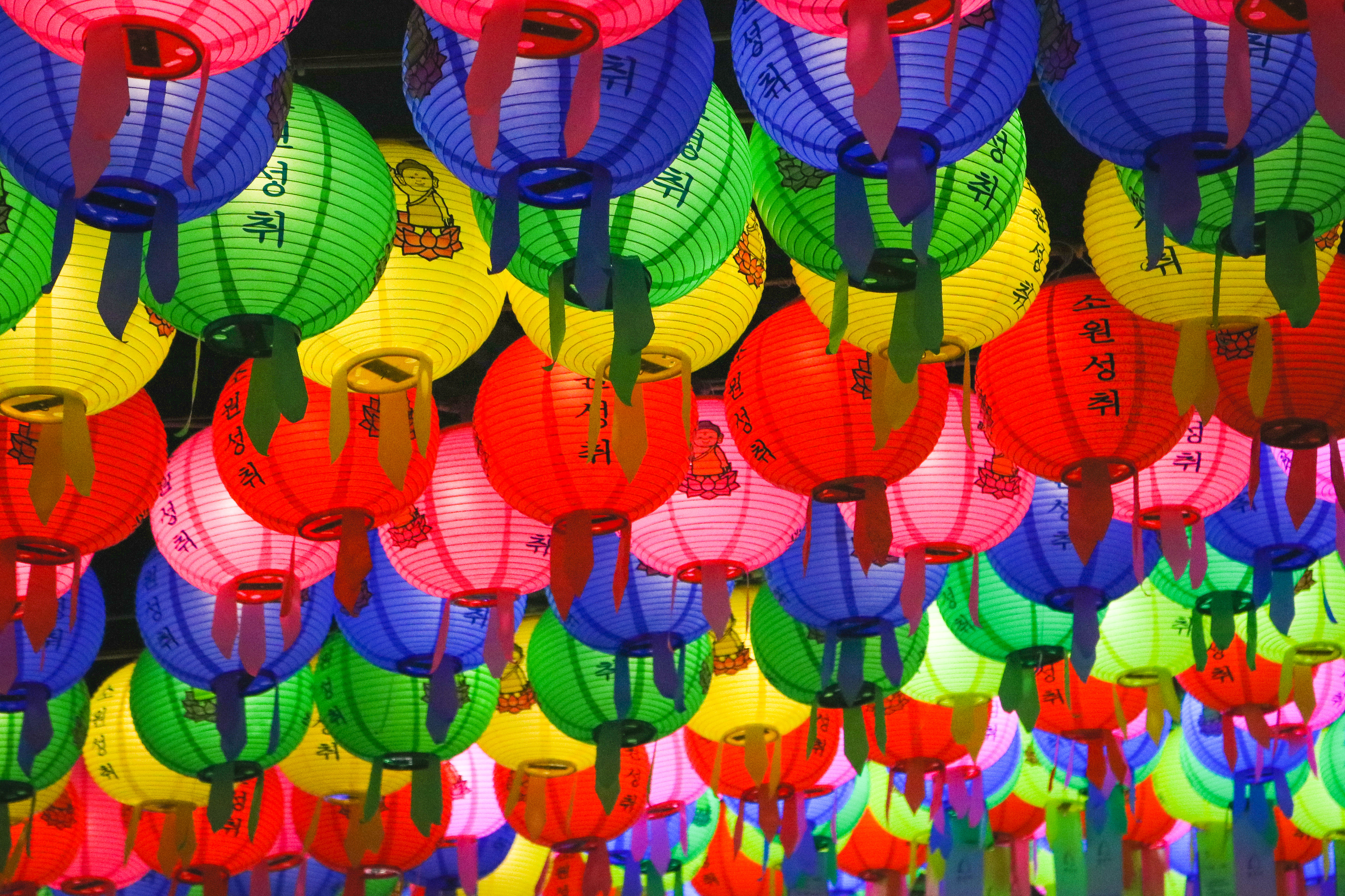 Lanterns at a temple celebrating the new year, South Korea, 2016