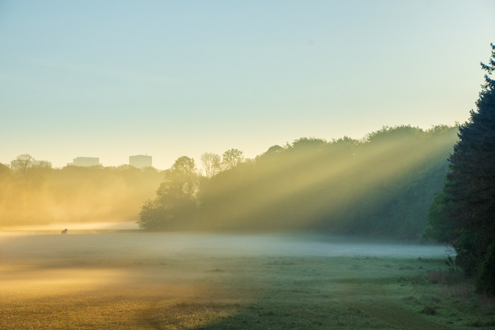 Amsterdamse Bos, Amsterdam