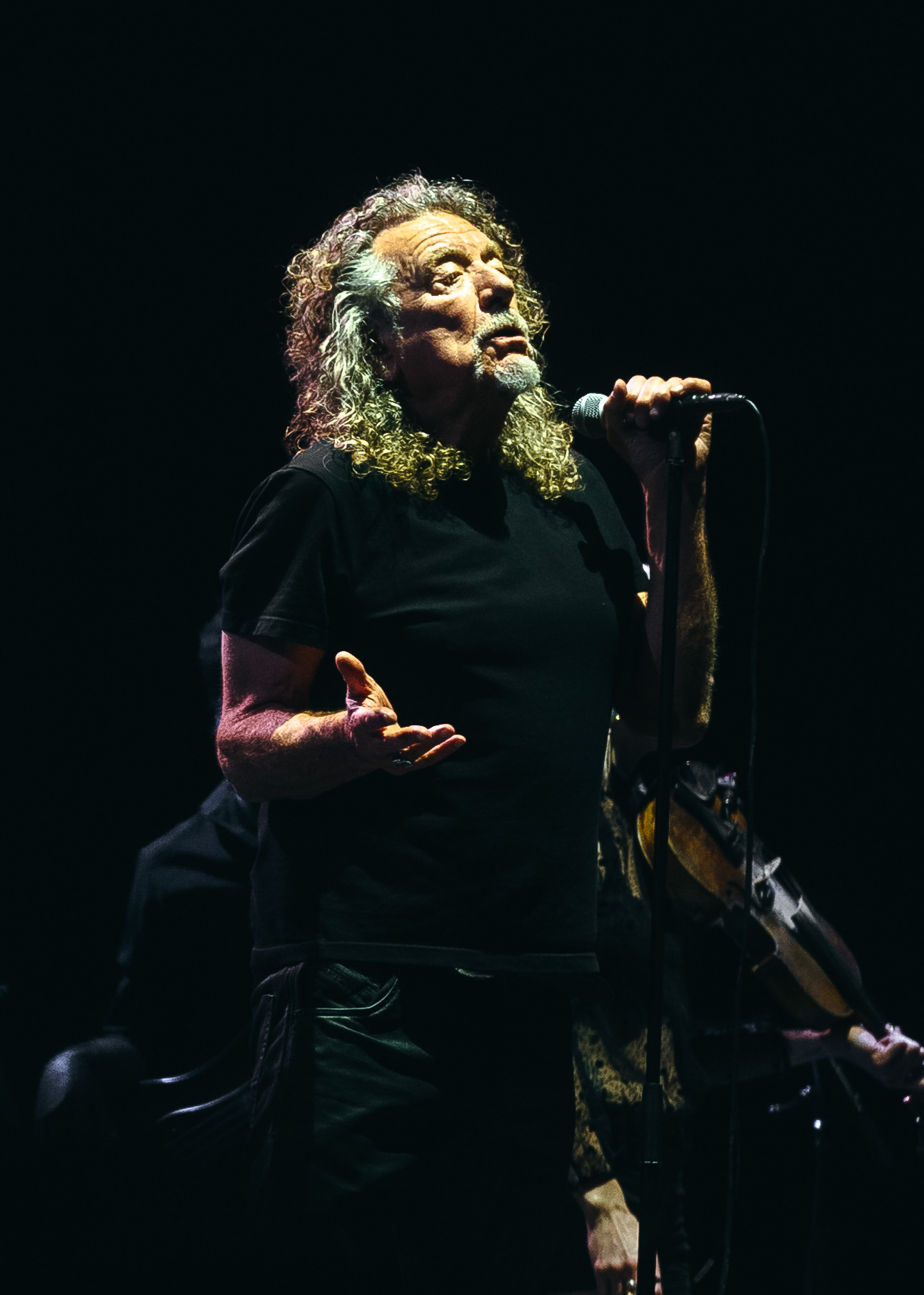 Robert Plant