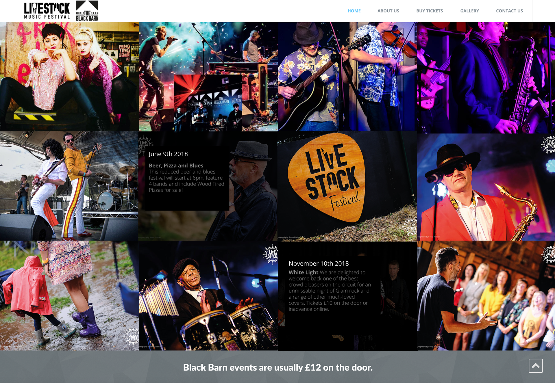 Livestockuk and Blackbarn website layout