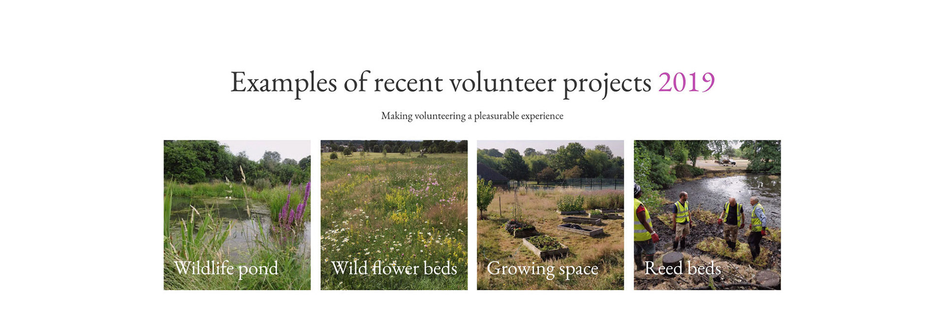 FoBP (Friends of Broomfield Park) Projects 2019