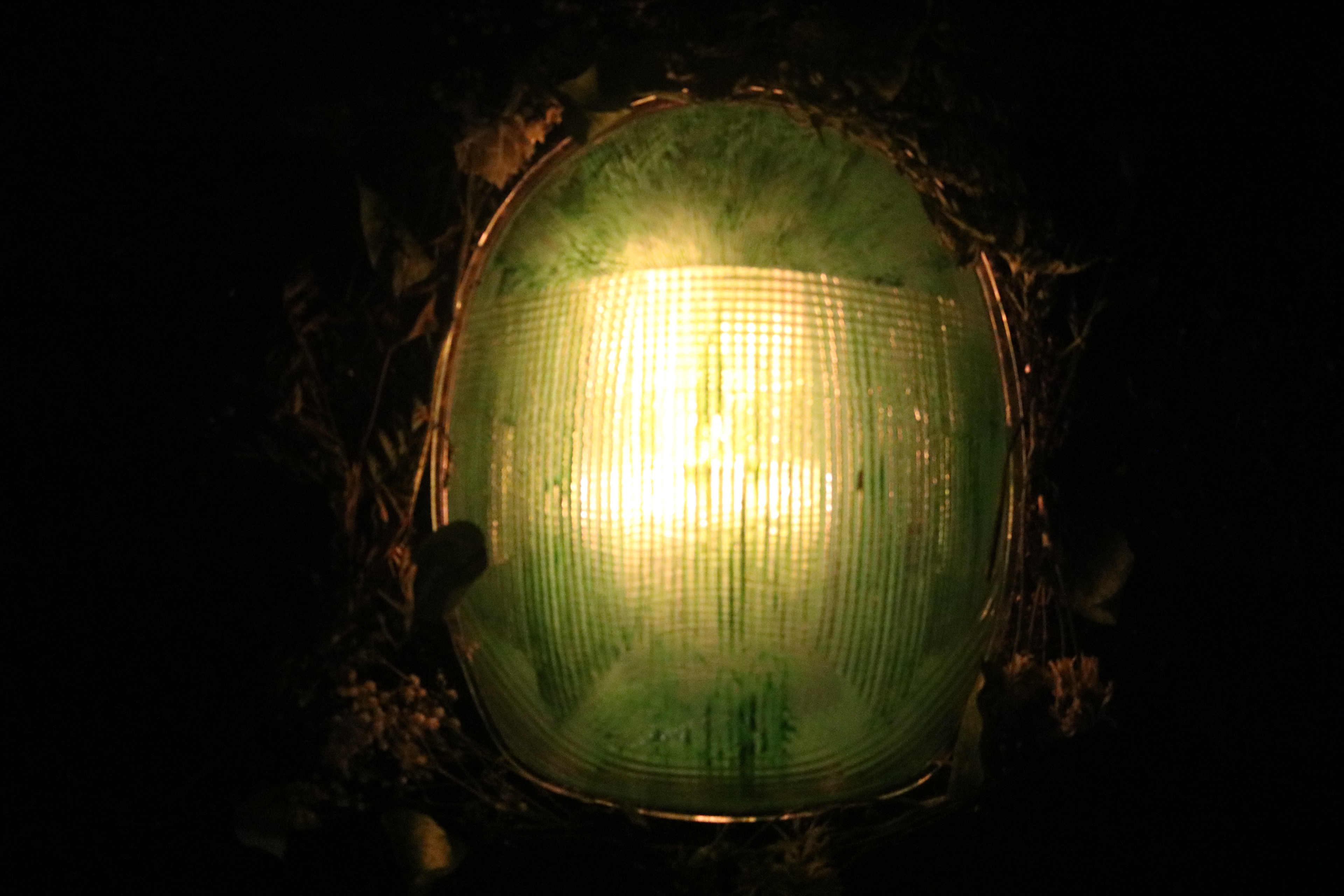 "Green Light" installation still, 2019.
