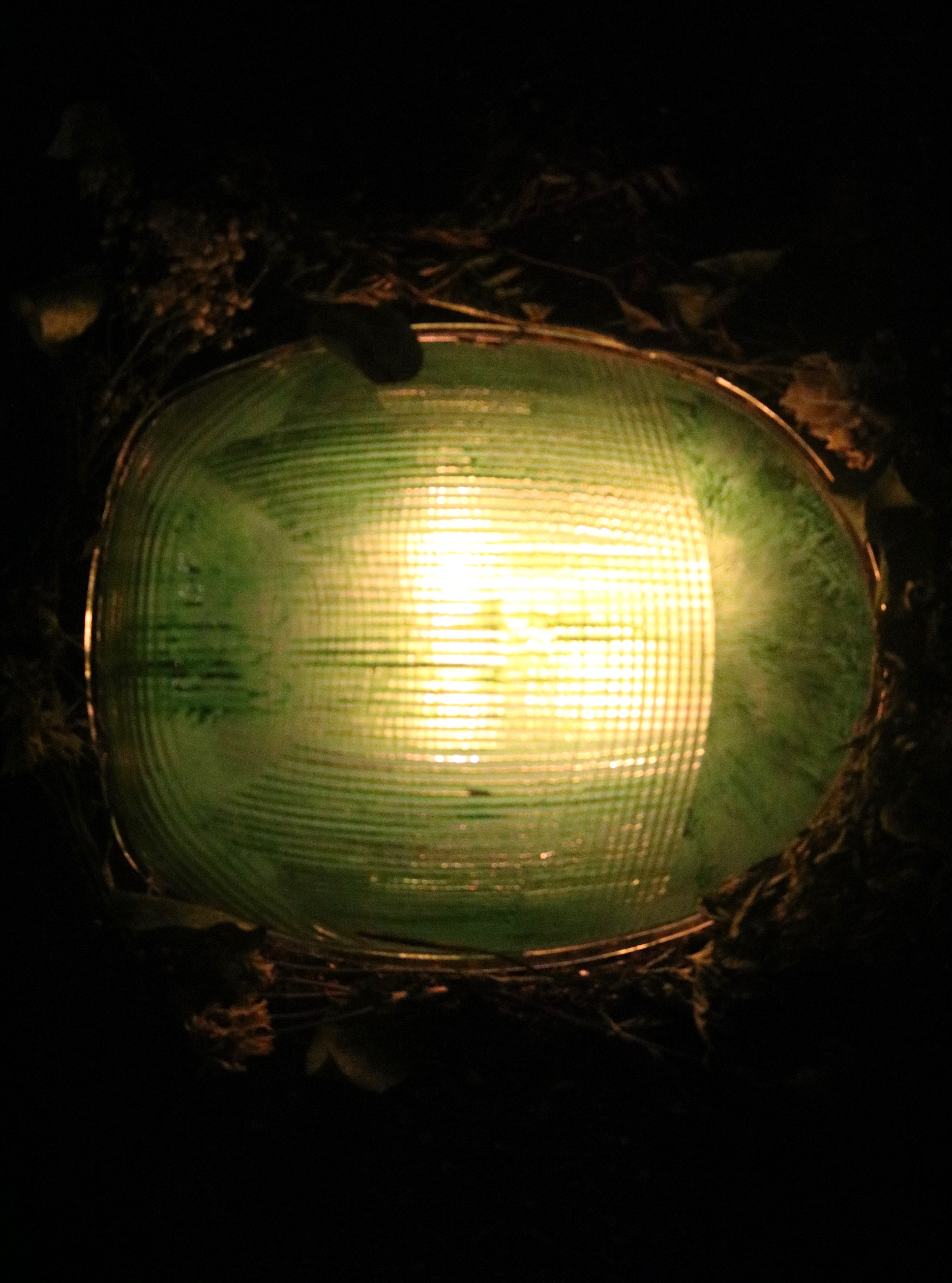 "Green Light" installation still, 2019.