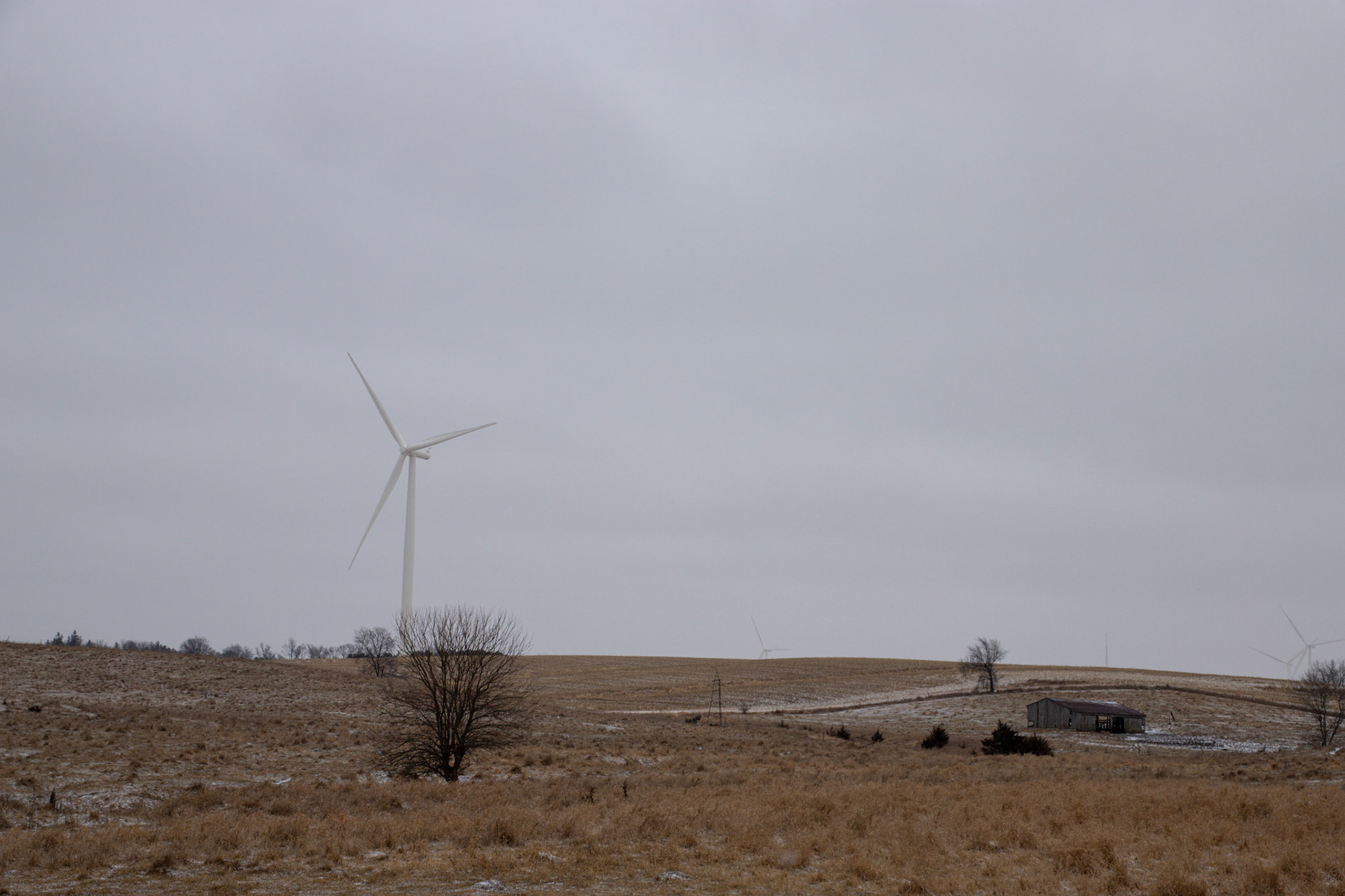 windmills
