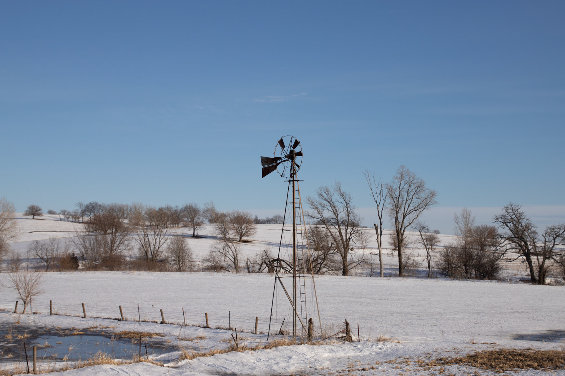 windmills