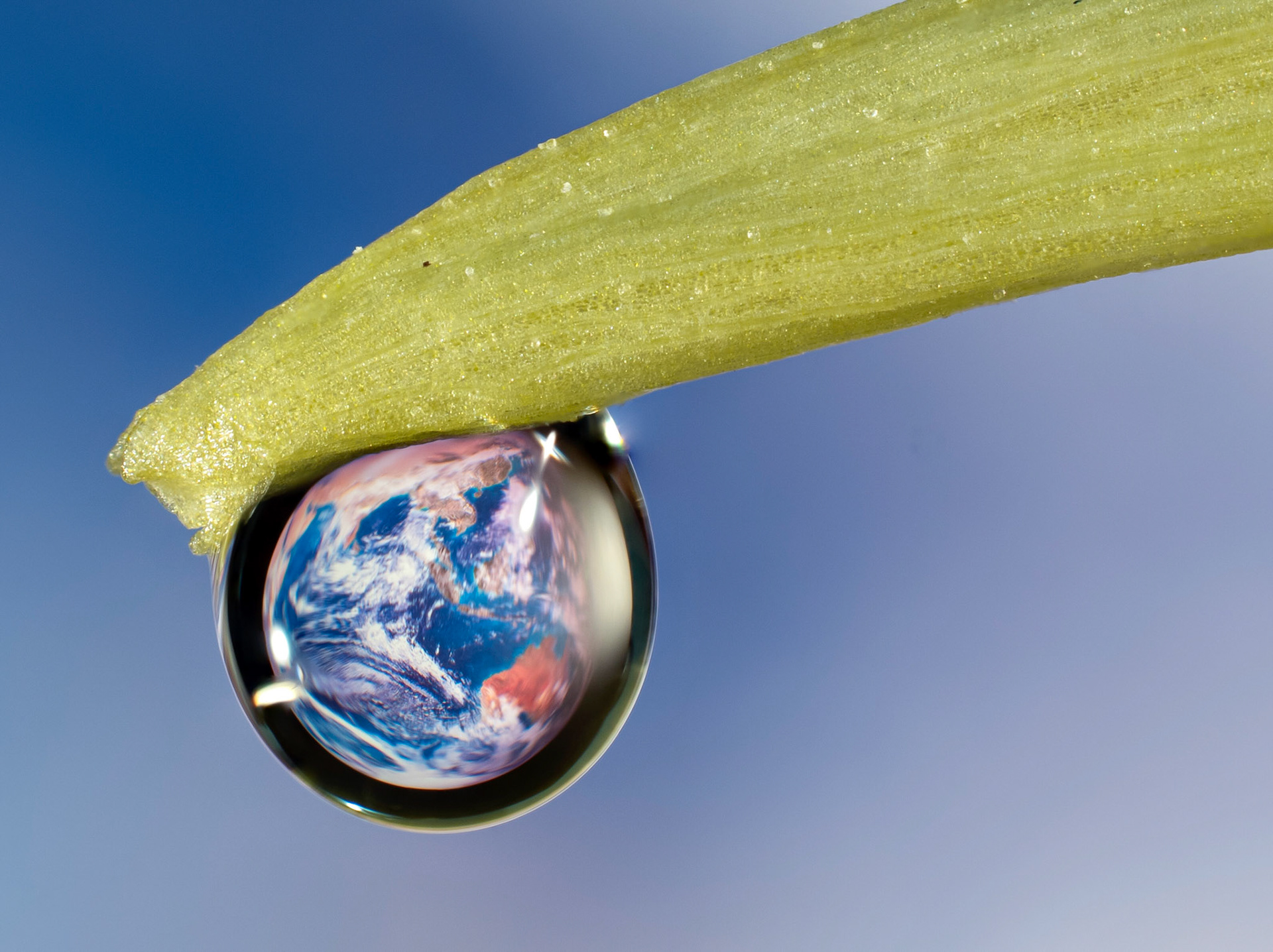 Fragile Planet