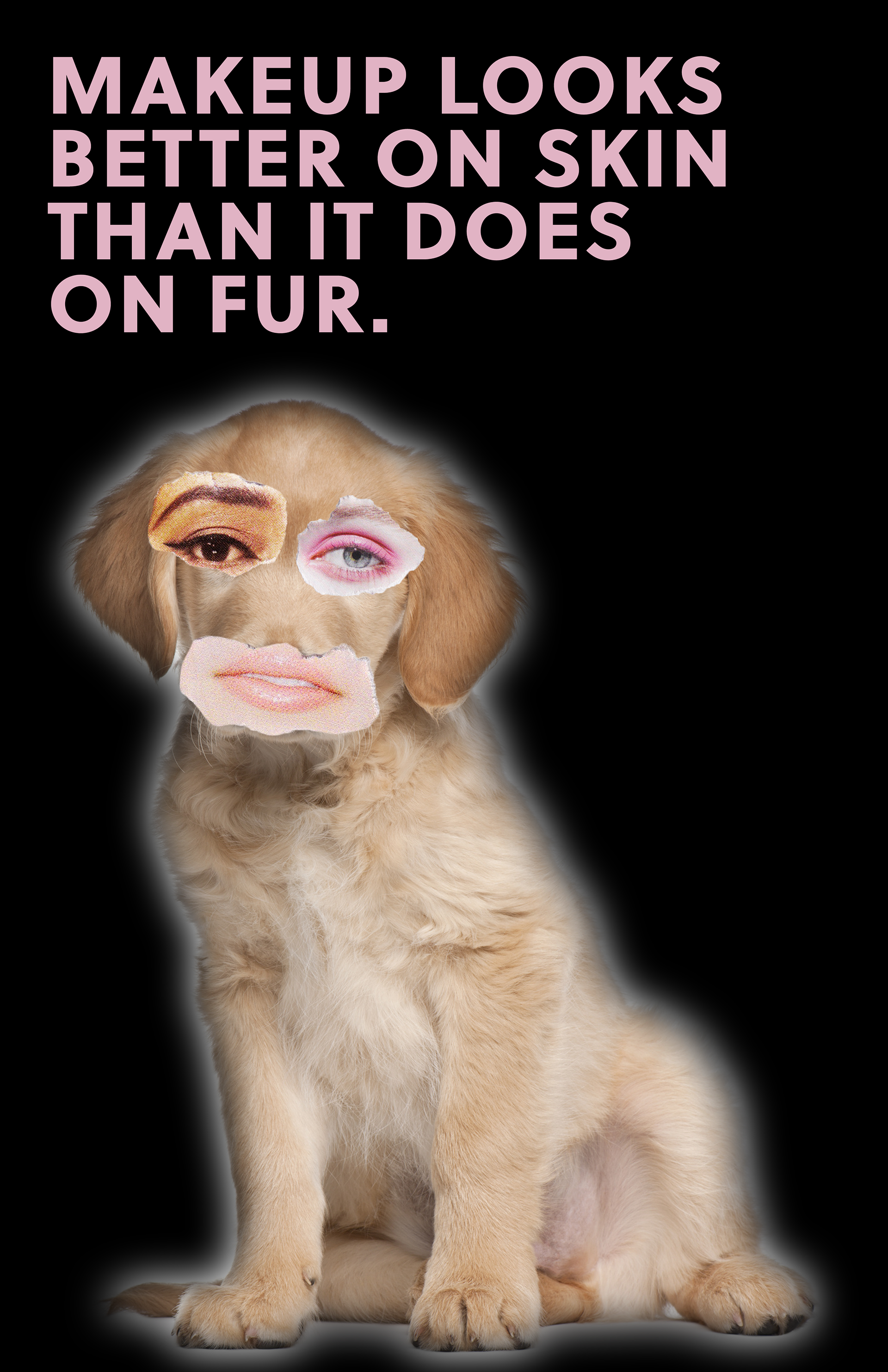 Dog Politics Poster