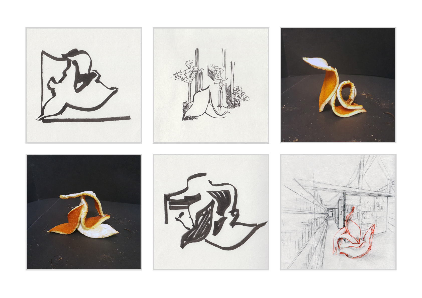 Structures Exploring the idea of using random/discarded objects as the initial inspiration for creating structures, such as resting places, sculptures and perhaps even buildings. Deriving inspiration from nature. Orange peel, and PITT artist pens, pencil, fine liner on paper, 42.0 x 59.4 cm