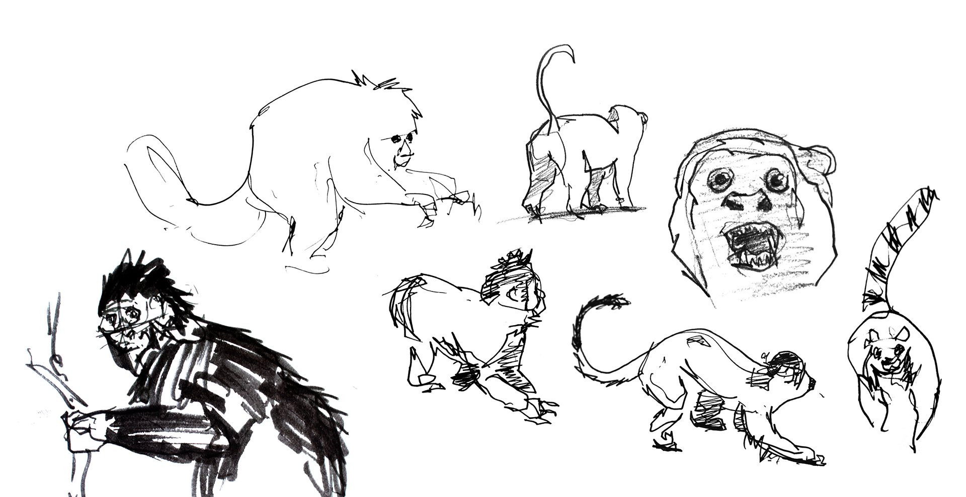 Josh O Caoimh Animal Drawing