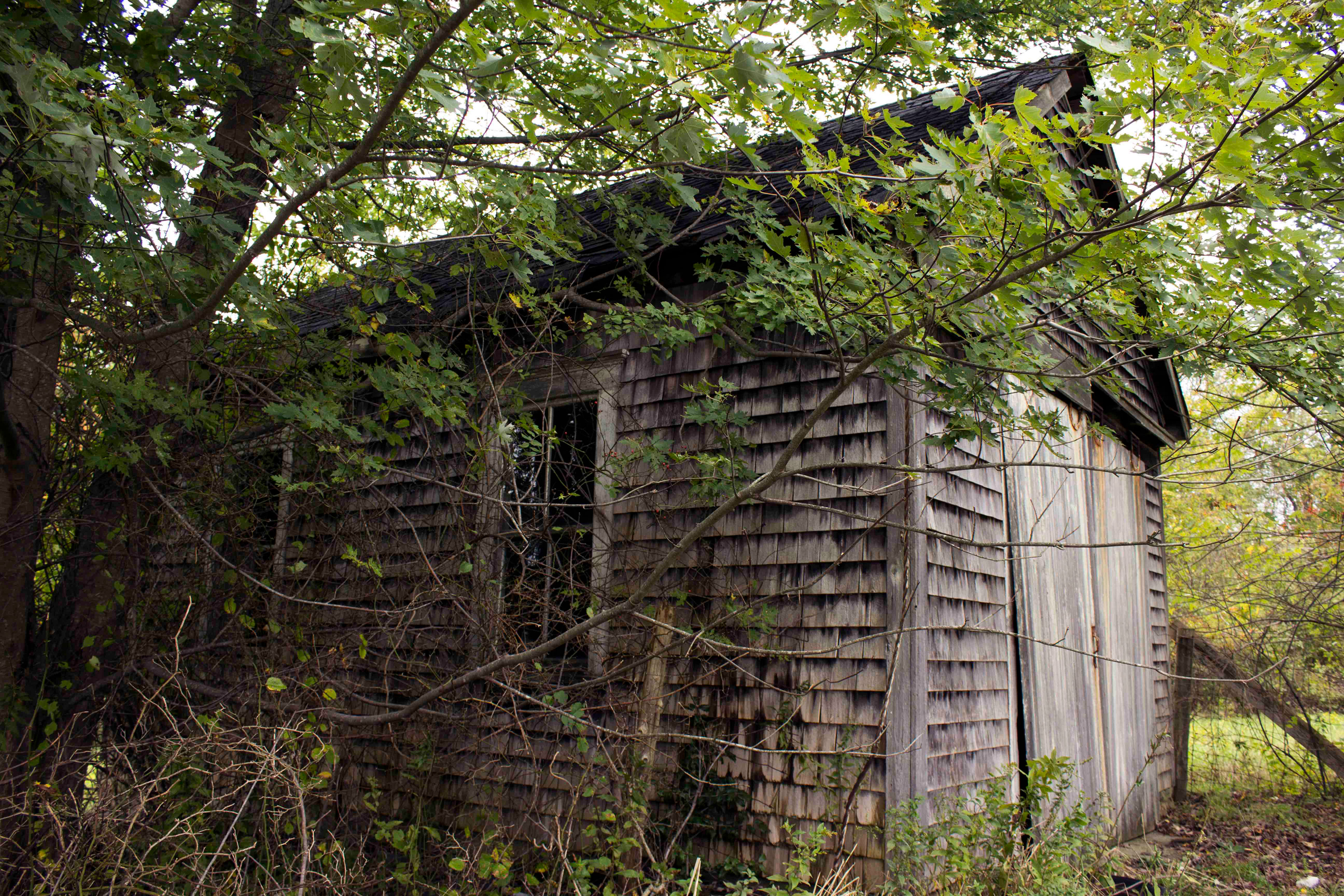Abandoned shed in Westport,MA