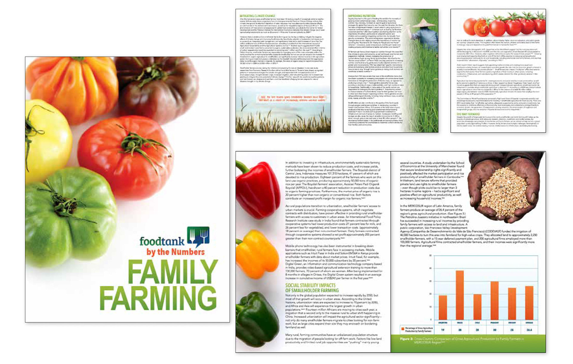 Annual Report Design