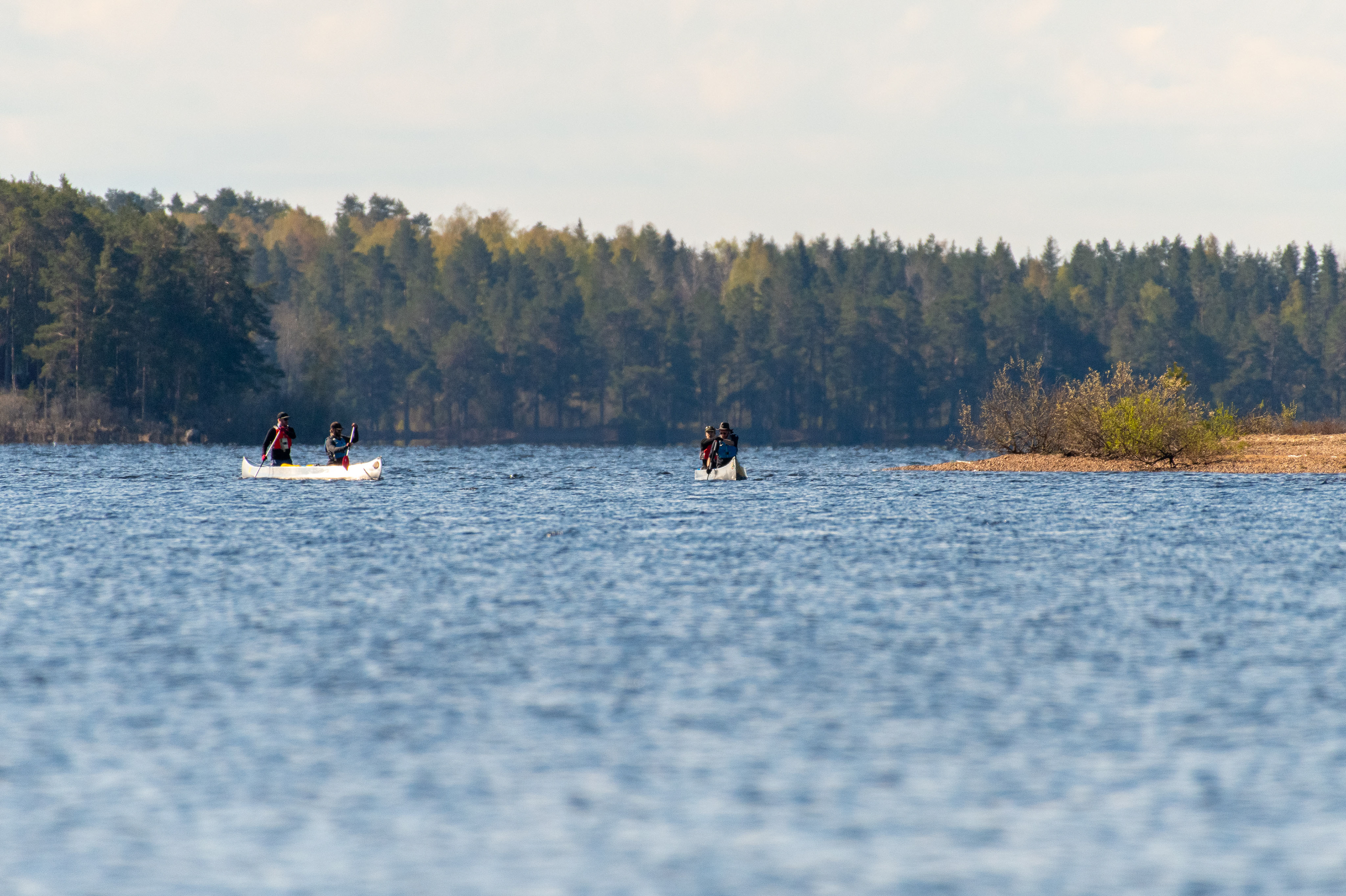 Stepan Kuklik Photography Färnebofjärden National Park