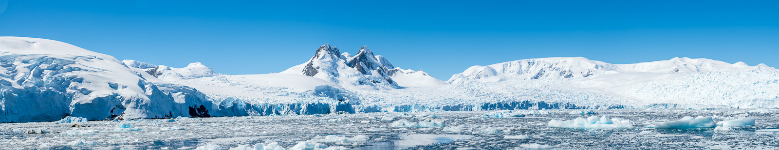 Cierva Cove shoreline