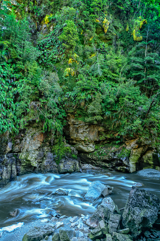 Charming Creek Walkway - West Coast