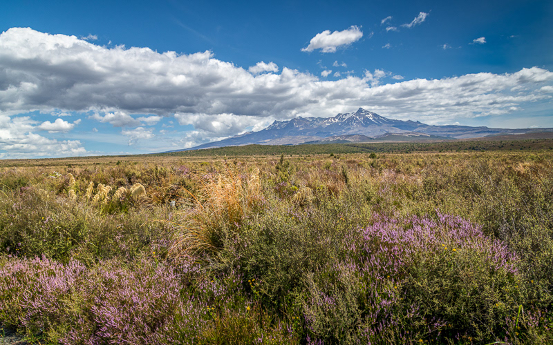 Mount Ruapehu - Manawatu-Wanganui