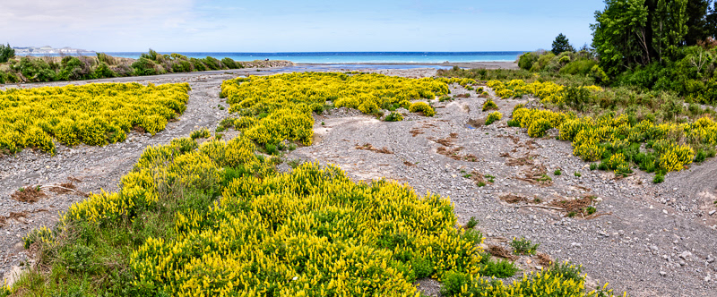 Te Moto Moto Stream, Oaro - North Canterbury