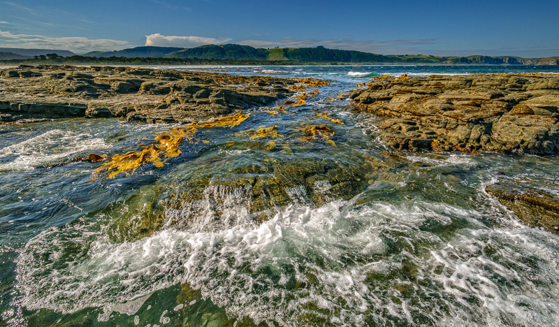 Coastal rocks, Papatowai, Catlins - Otago
