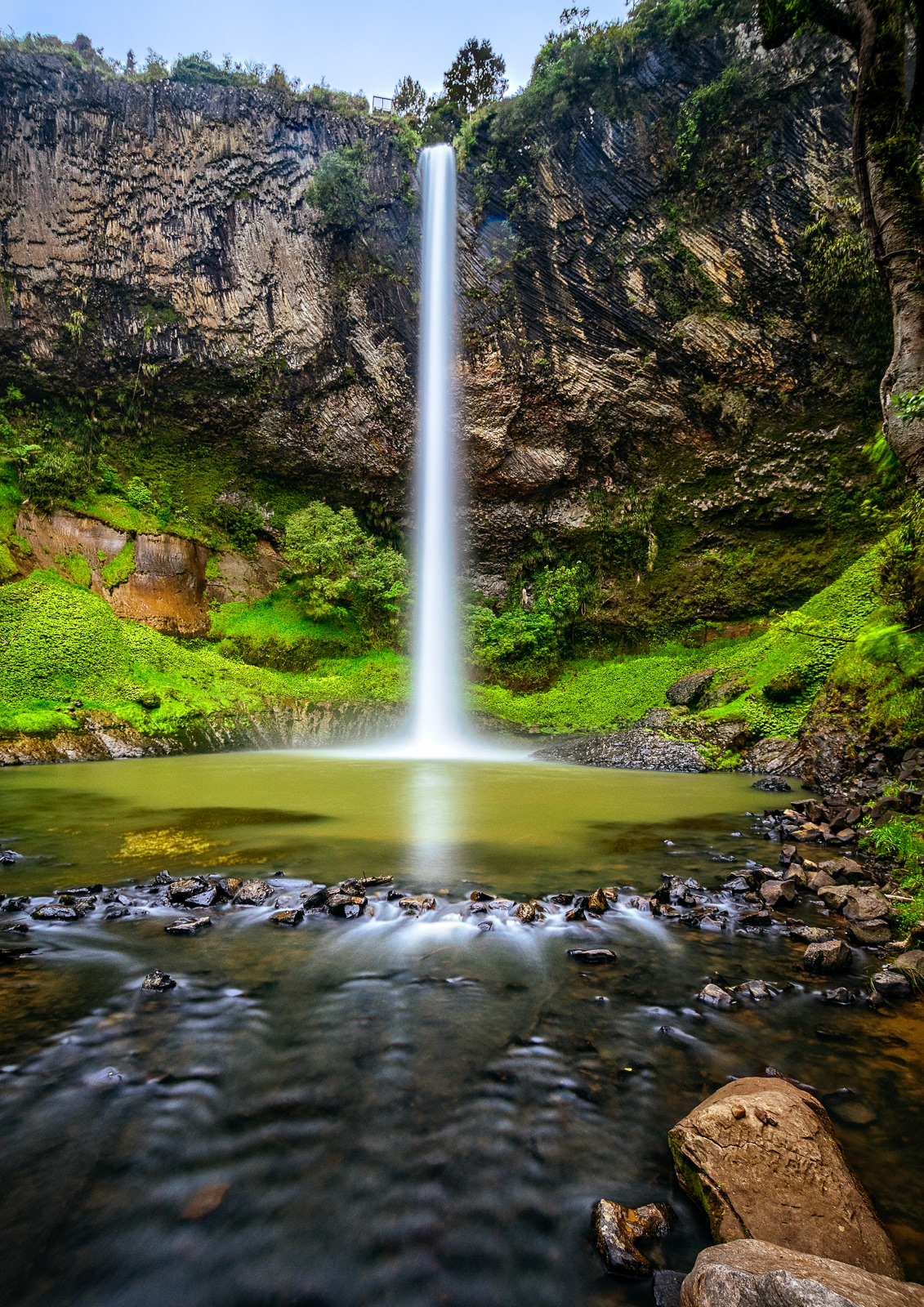 Bridal Veil Falls - Waikato