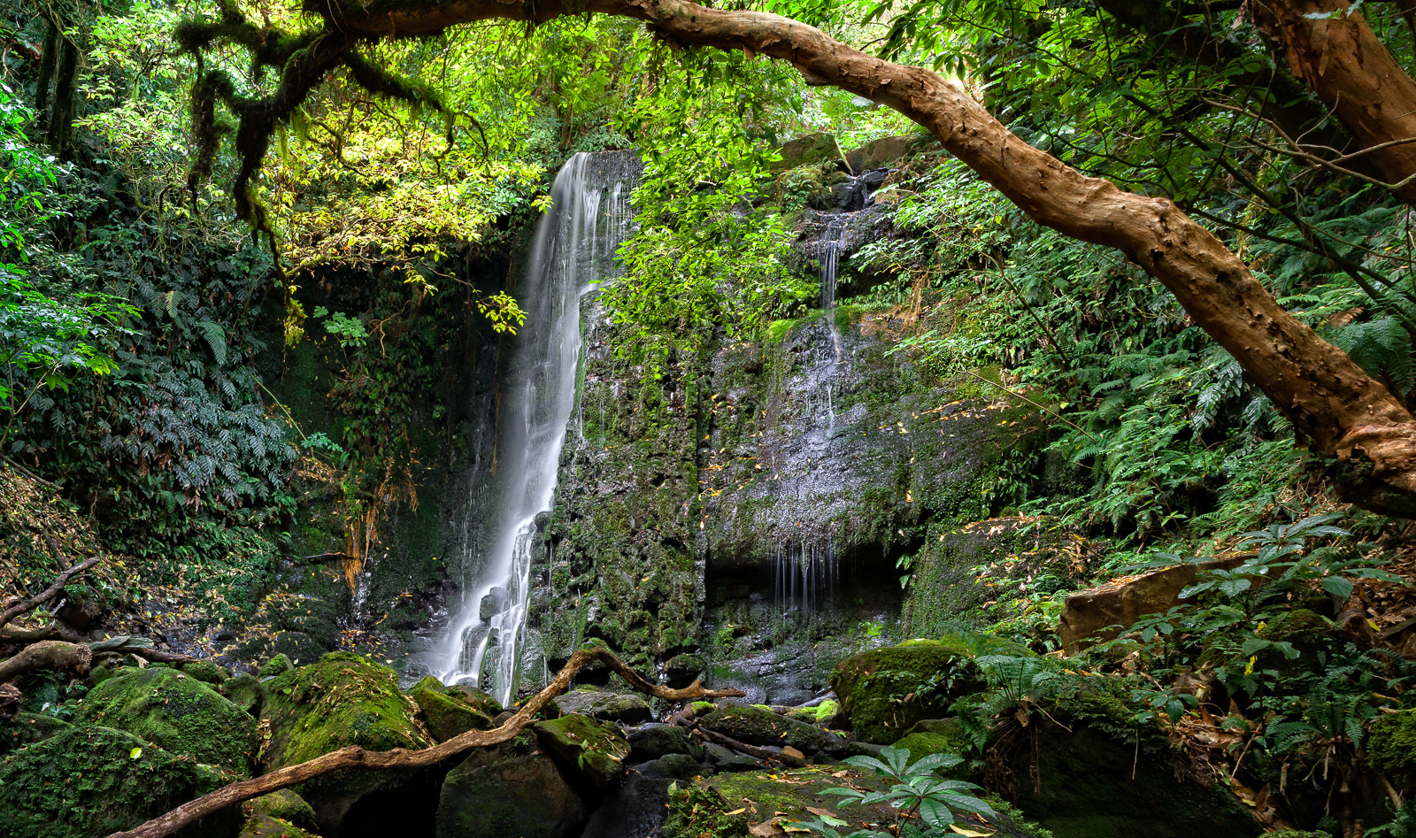 Matai Falls - Catlins, Otago
