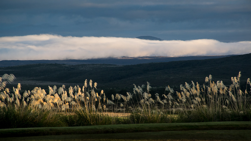 Morning light, Tongariro National Park - Manawatu-Wanganui 