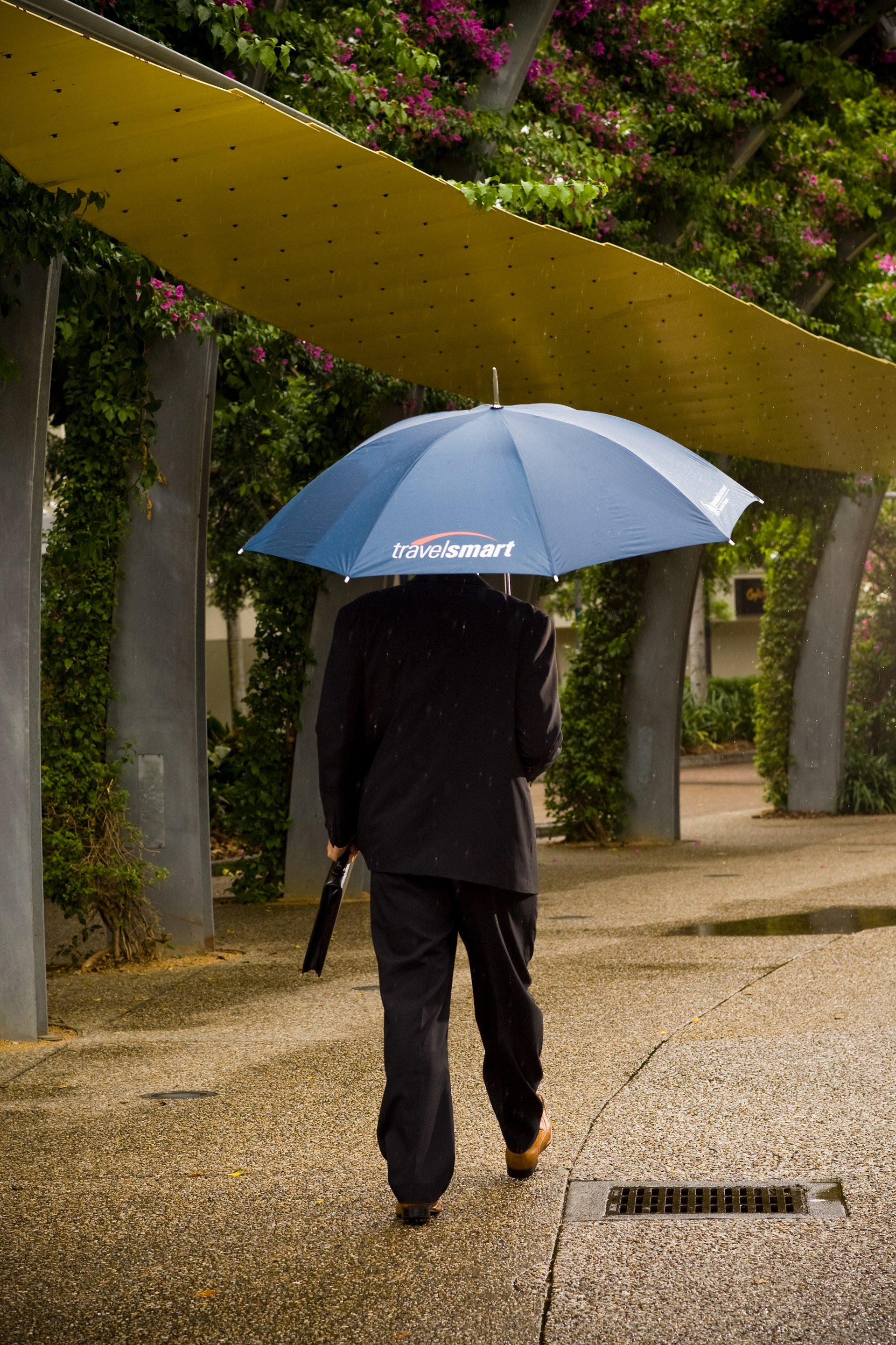 Travel Smart umbrella