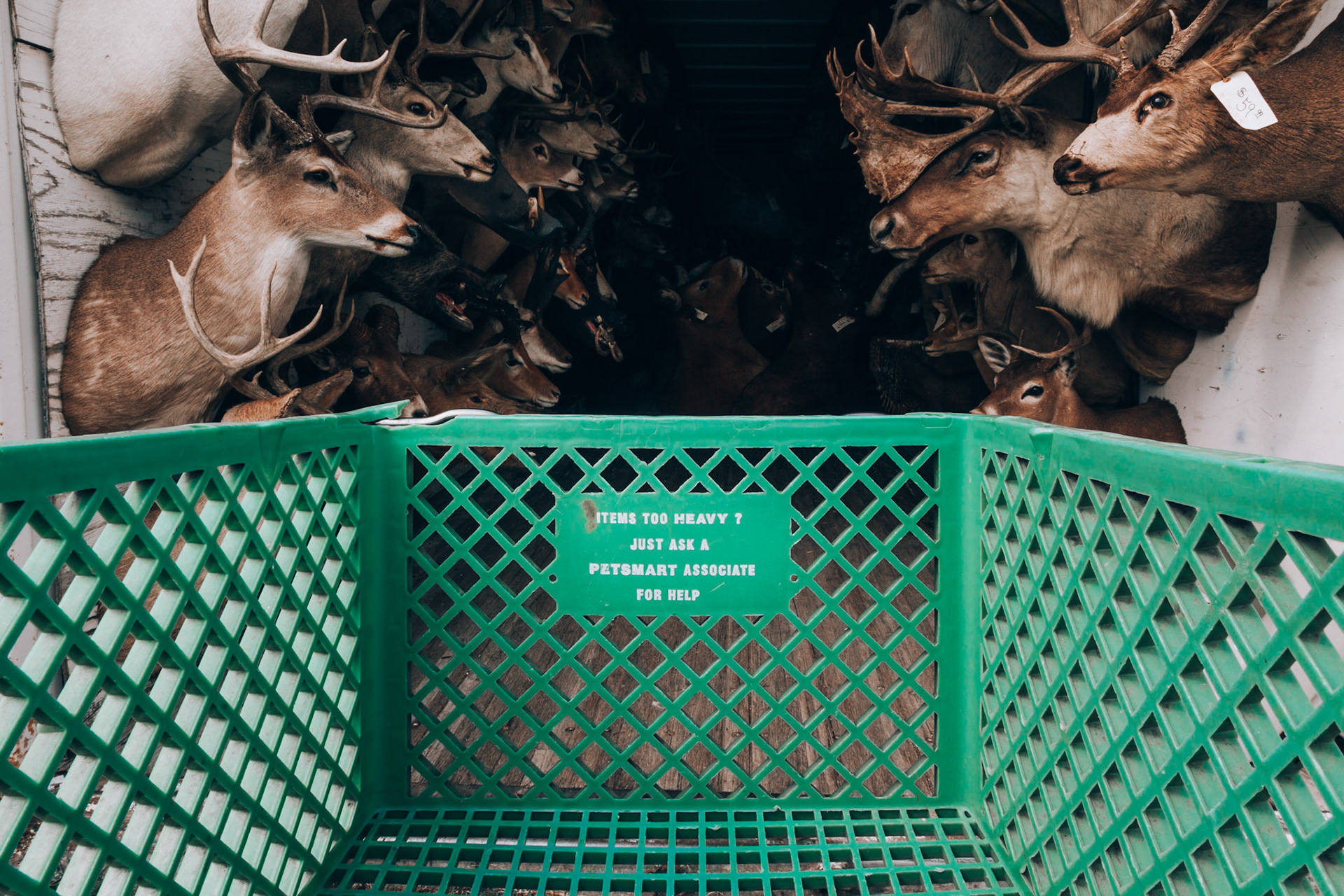 At Austin's The Corner Shoppe