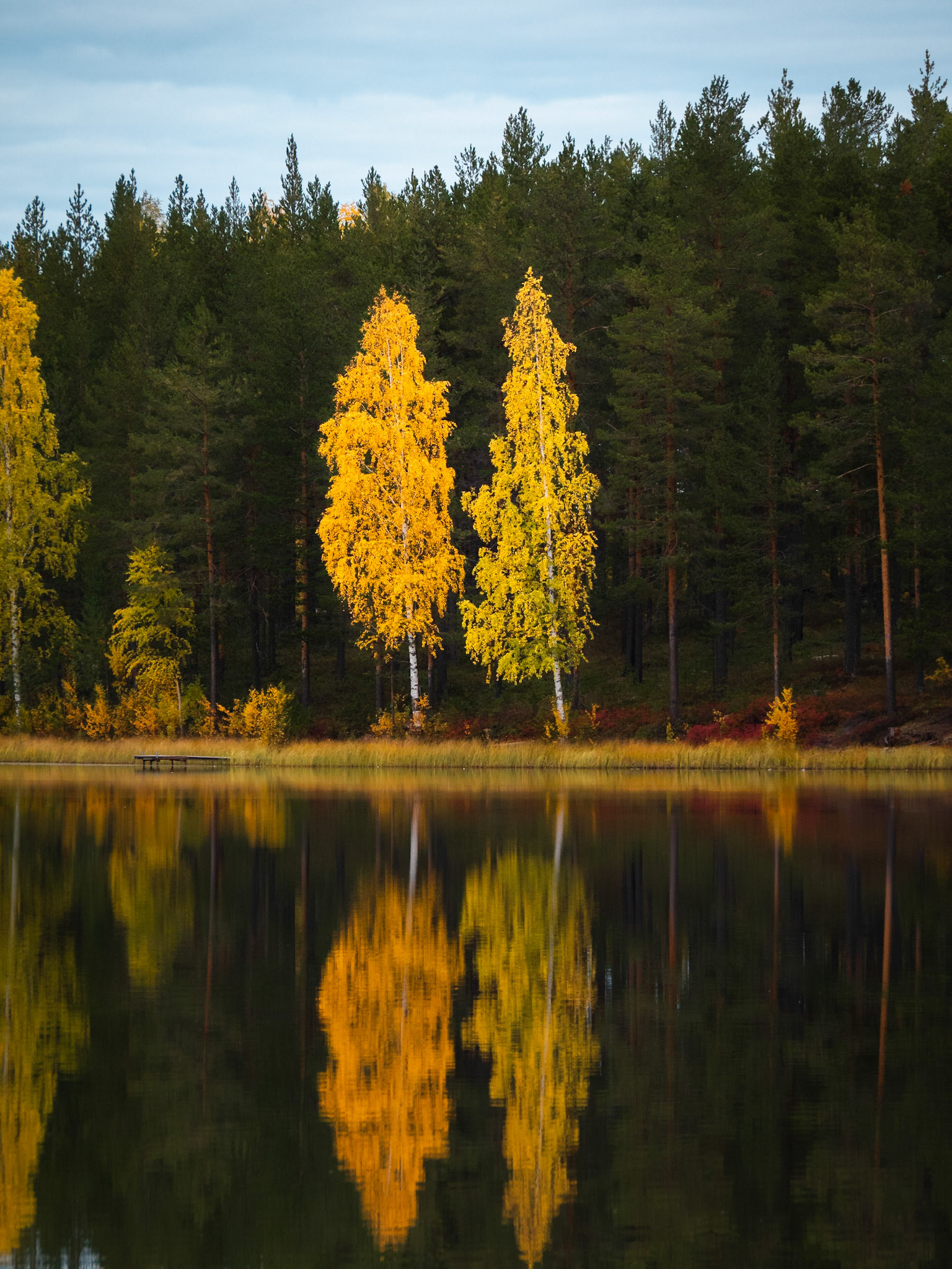 Lightseeker Photographs Autumn in Northern Sweden Herbst in