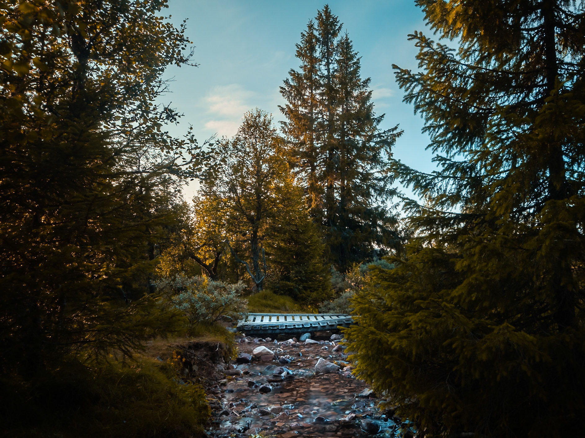 Södra Kungsleden, Sälen