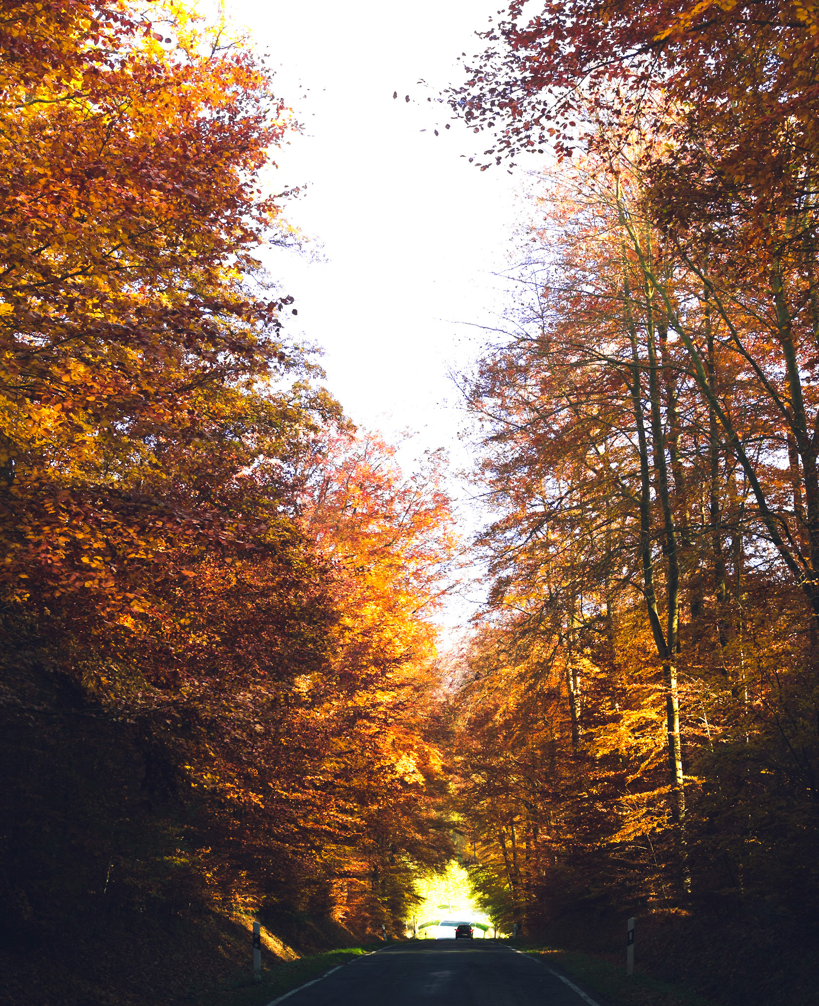 Taunus