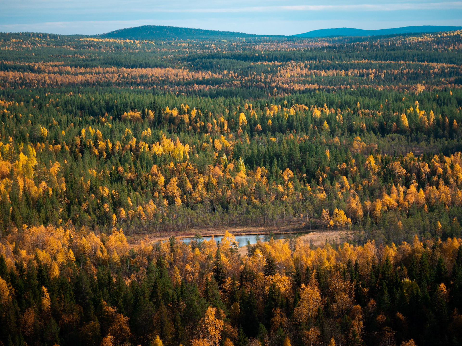 Lightseeker Photographs Autumn in Northern Sweden Herbst in