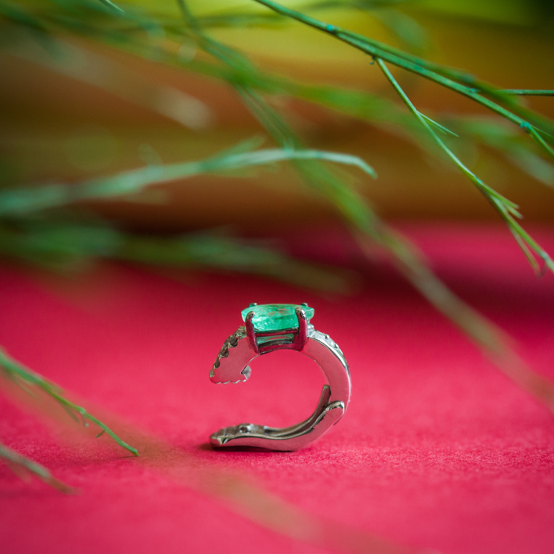 Carol Bassi Jewelry | Coleção Tous Les Jours