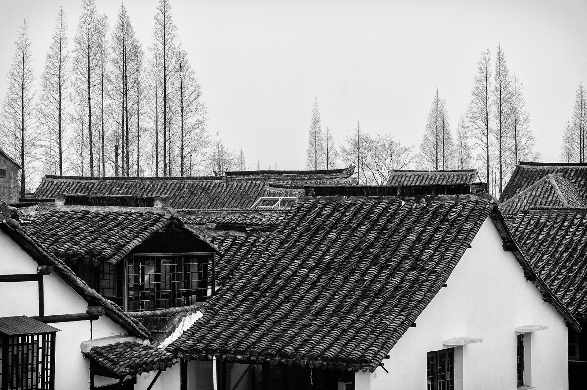 Roof Tops and Trees - Zhujuazhui China 