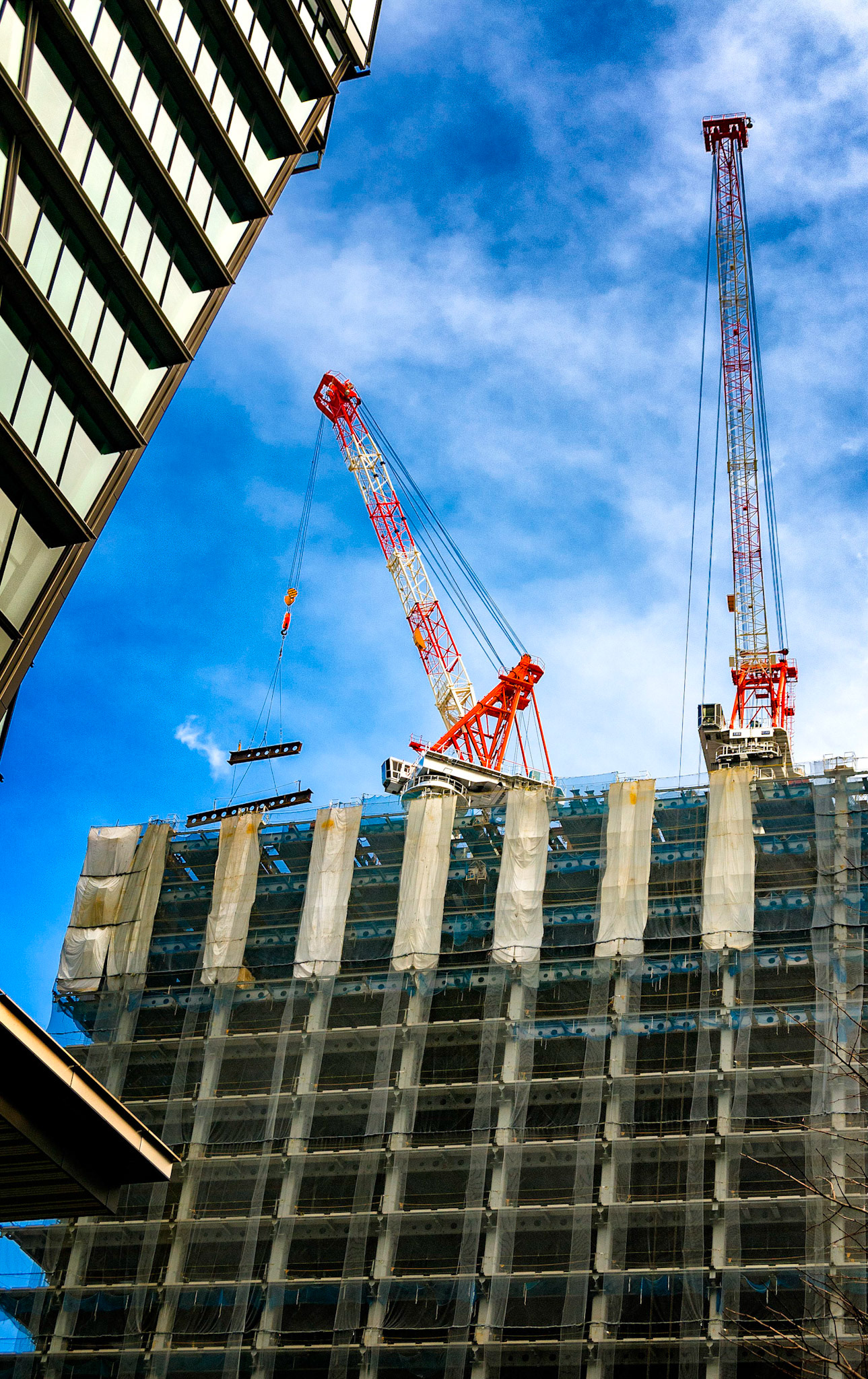 Going Up in the World