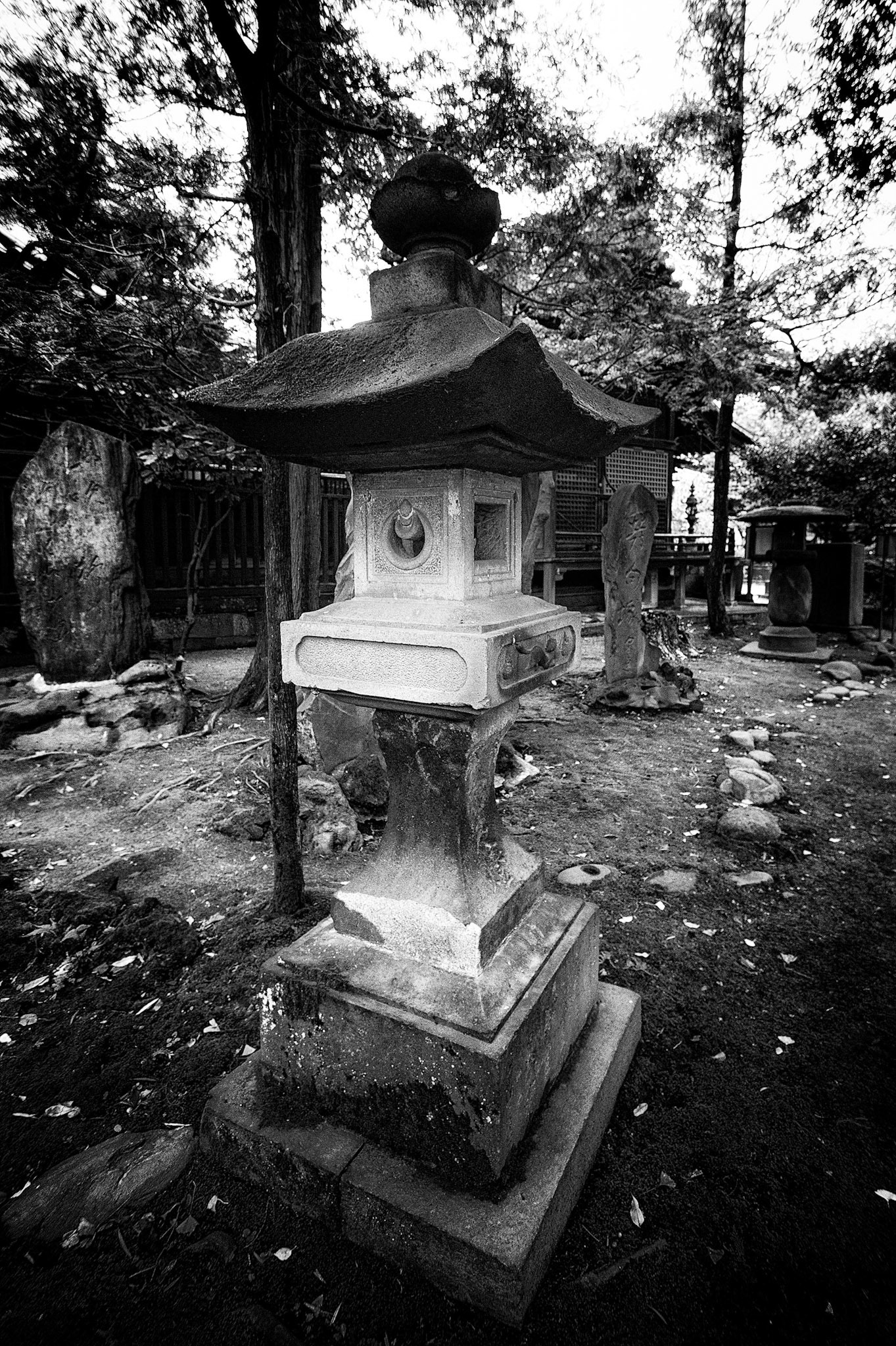 Standing in the Garden