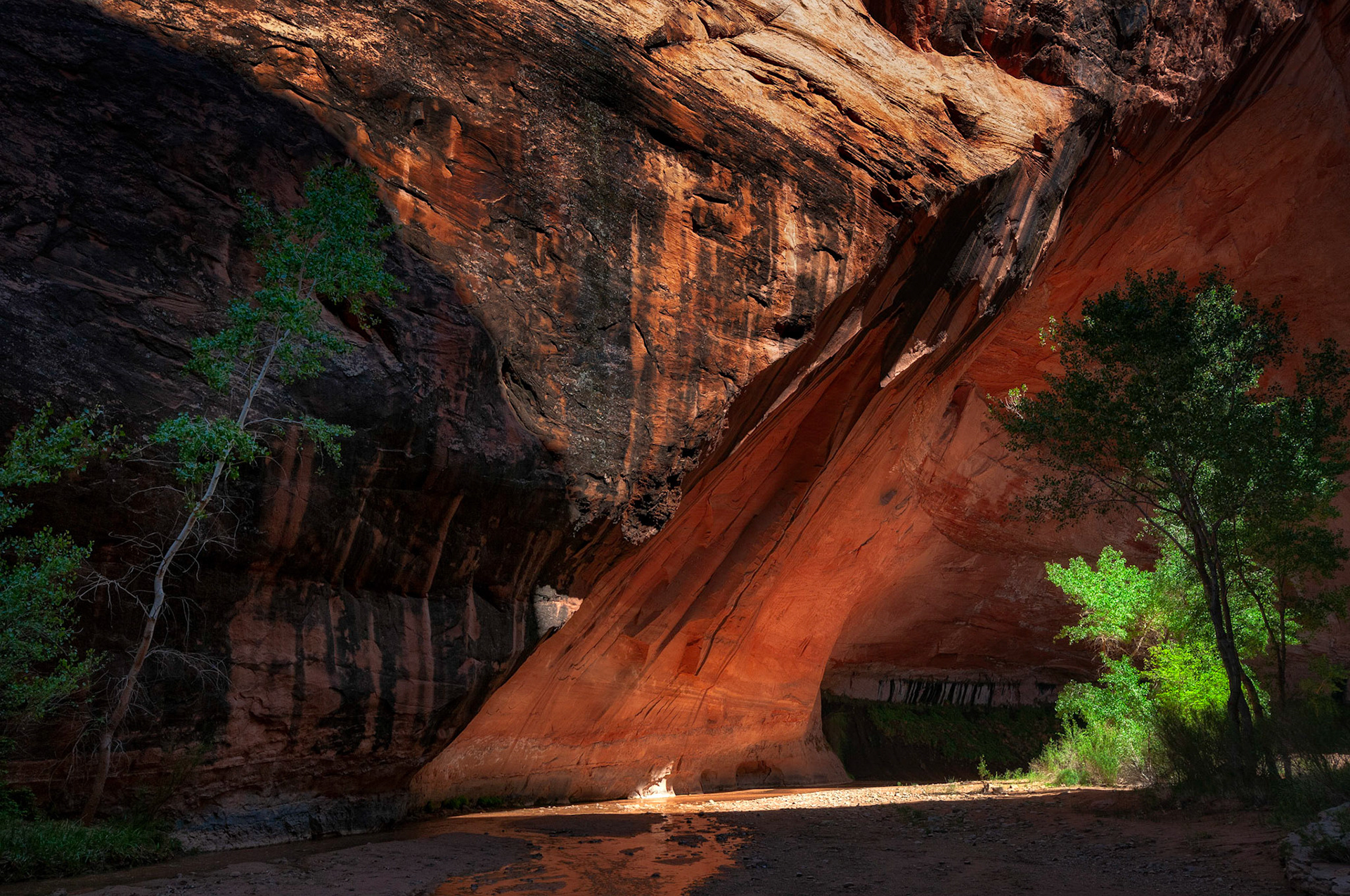 Rock Face Coyote Gulch 1