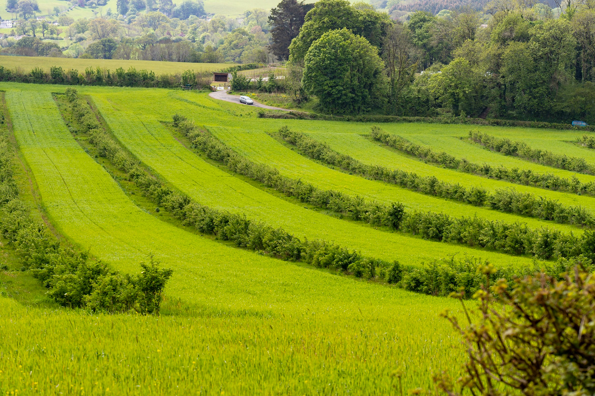 Josh Pratt | https://www.instagram.com/mrjoshpratt/