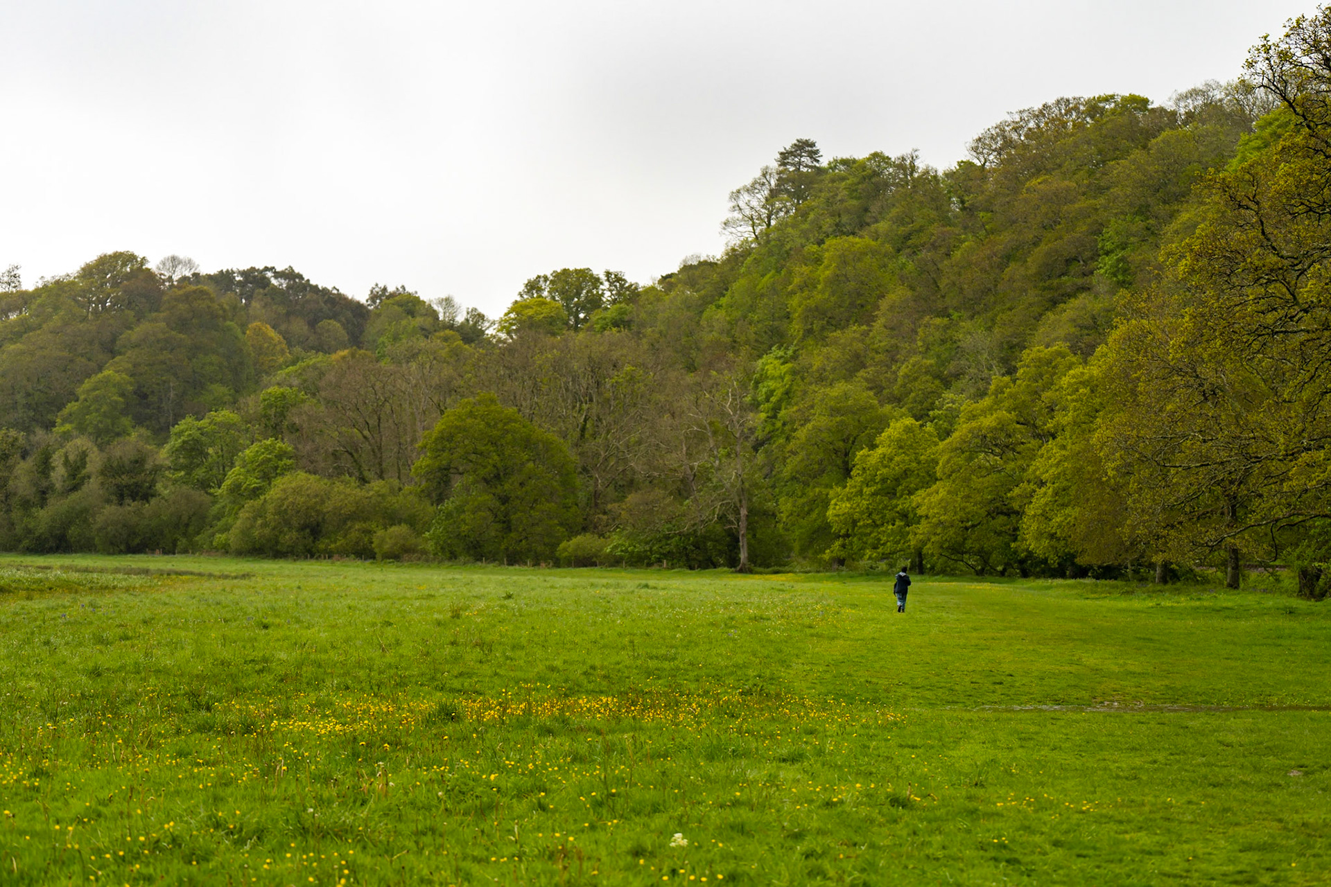 Josh Pratt | https://www.instagram.com/mrjoshpratt/